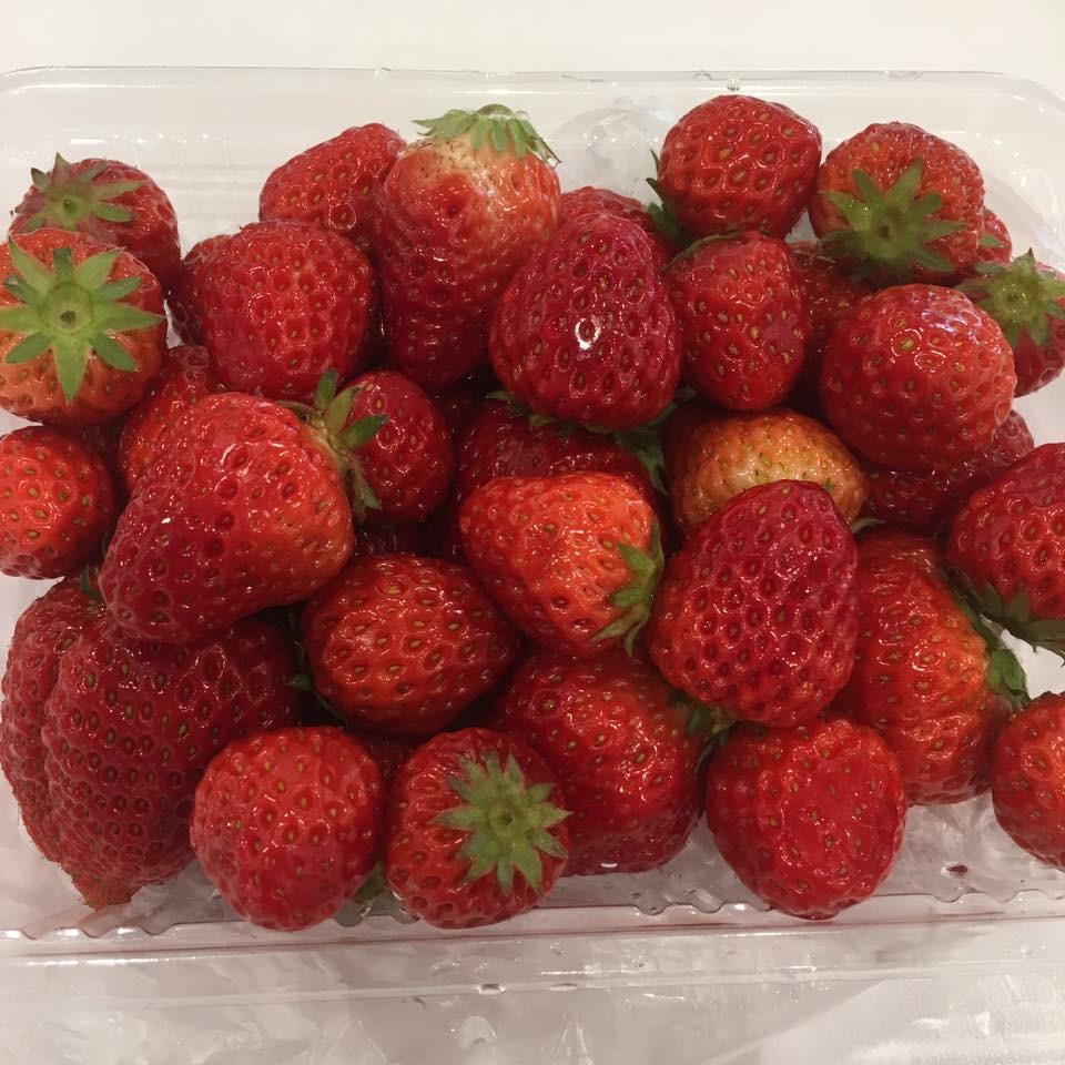 やまがた いちご楽園 雅のレポート写真1（岐阜の食いしん坊担当）