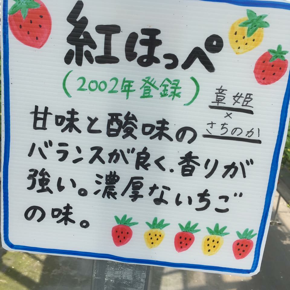 やまがた いちご楽園 雅のレポート写真2（岐阜の食いしん坊担当）