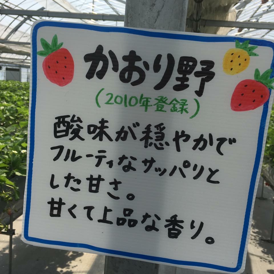 やまがた いちご楽園 雅のレポート写真3（岐阜の食いしん坊担当）