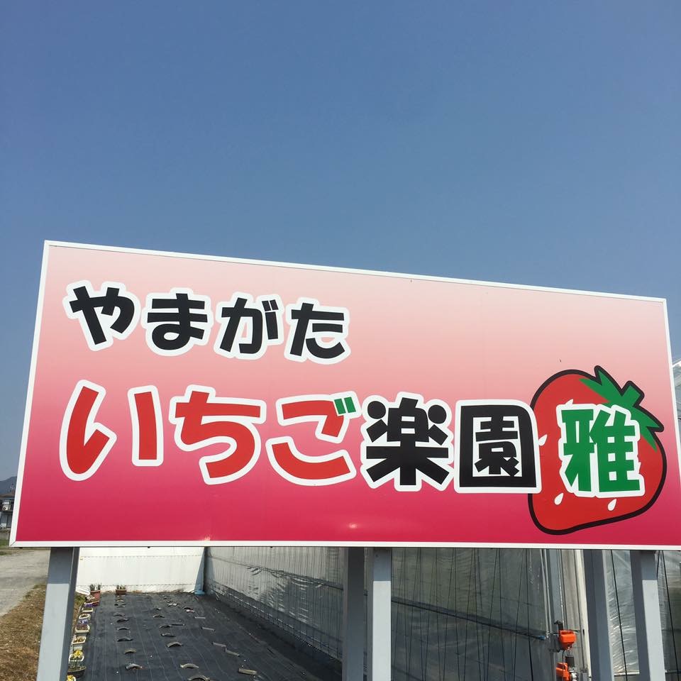 やまがた いちご楽園 雅のレポート写真4（岐阜の食いしん坊担当）