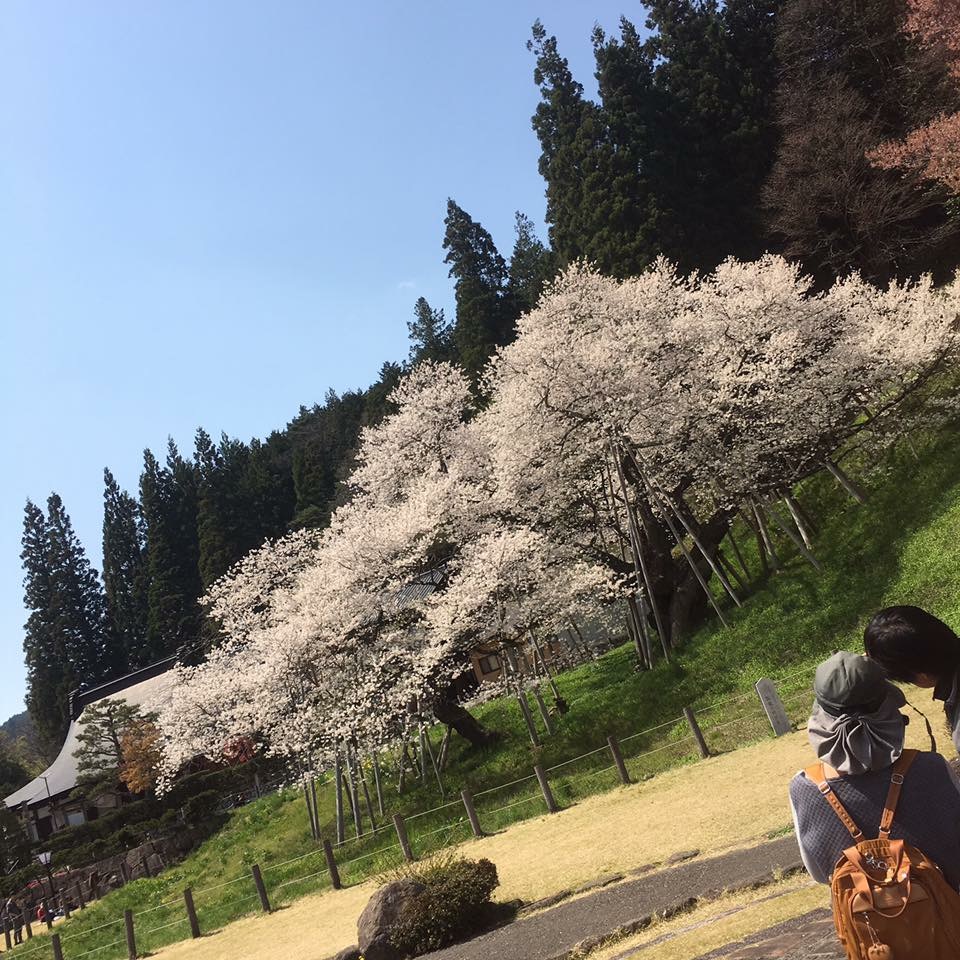 臥龍公園のレポート写真4（岐阜の食いしん坊担当）