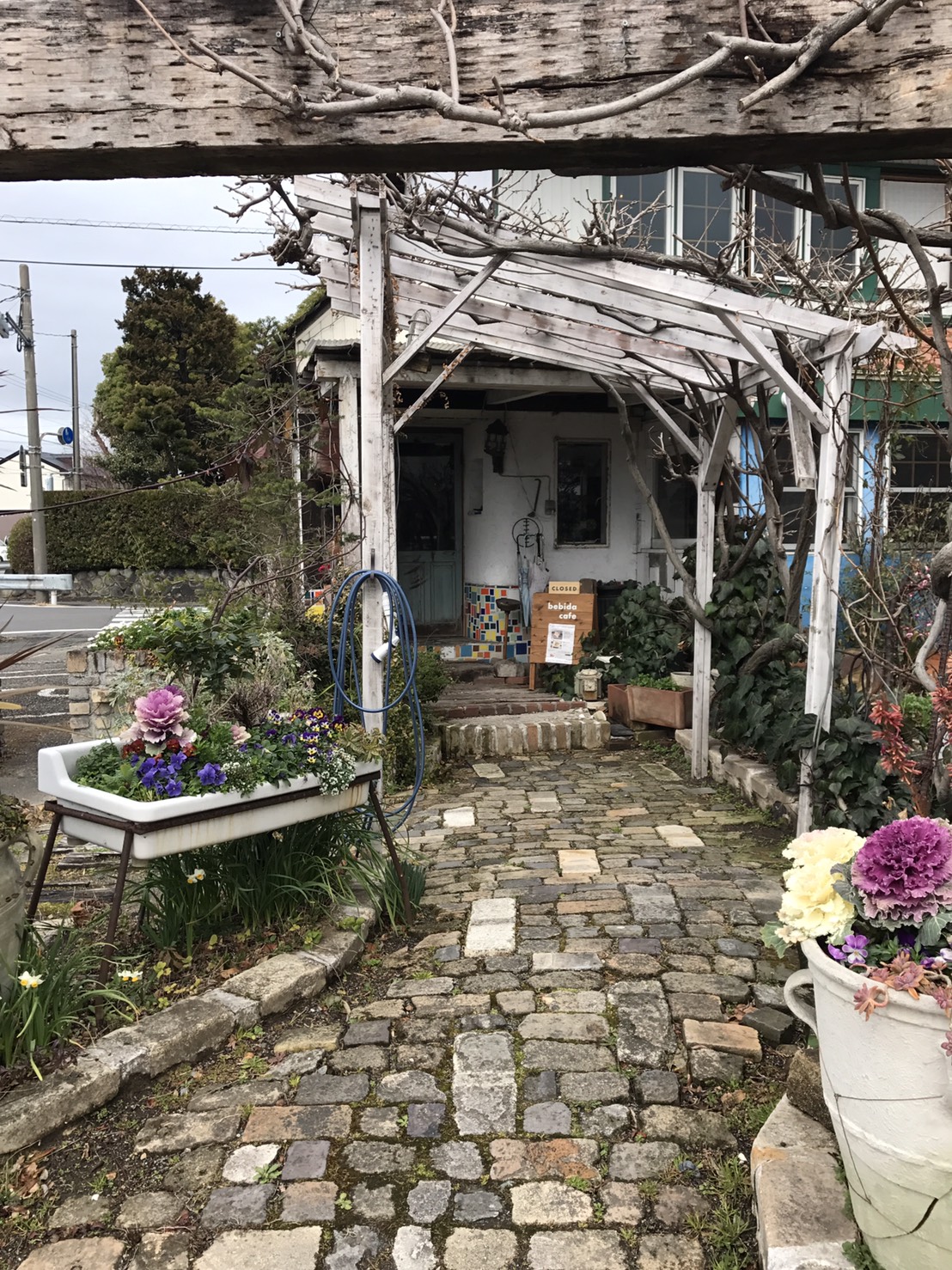 カレー工場ベビーダのレポート写真5（ちー）