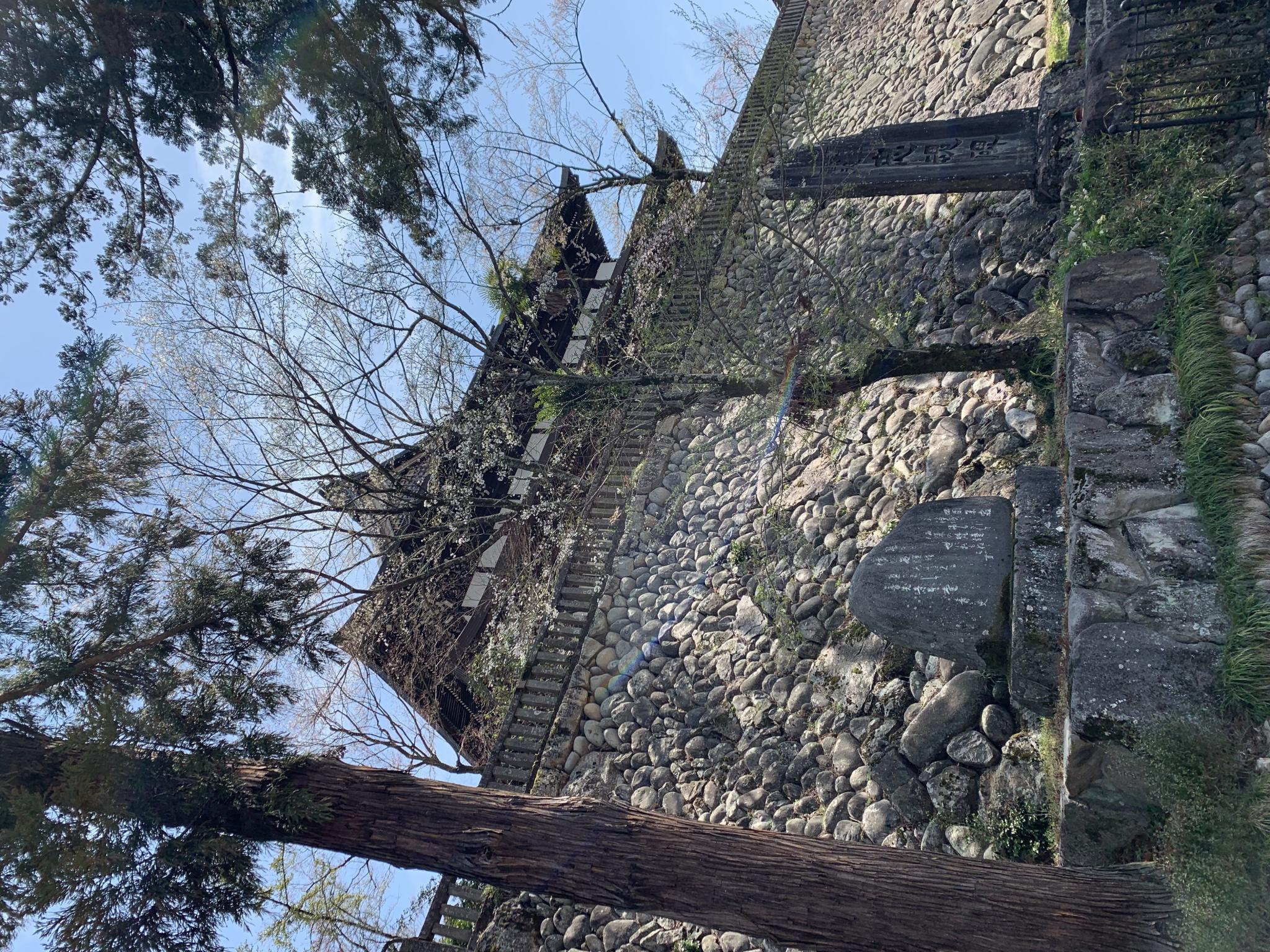 宗休寺(関善光寺) のレポート写真1（ポニョ）