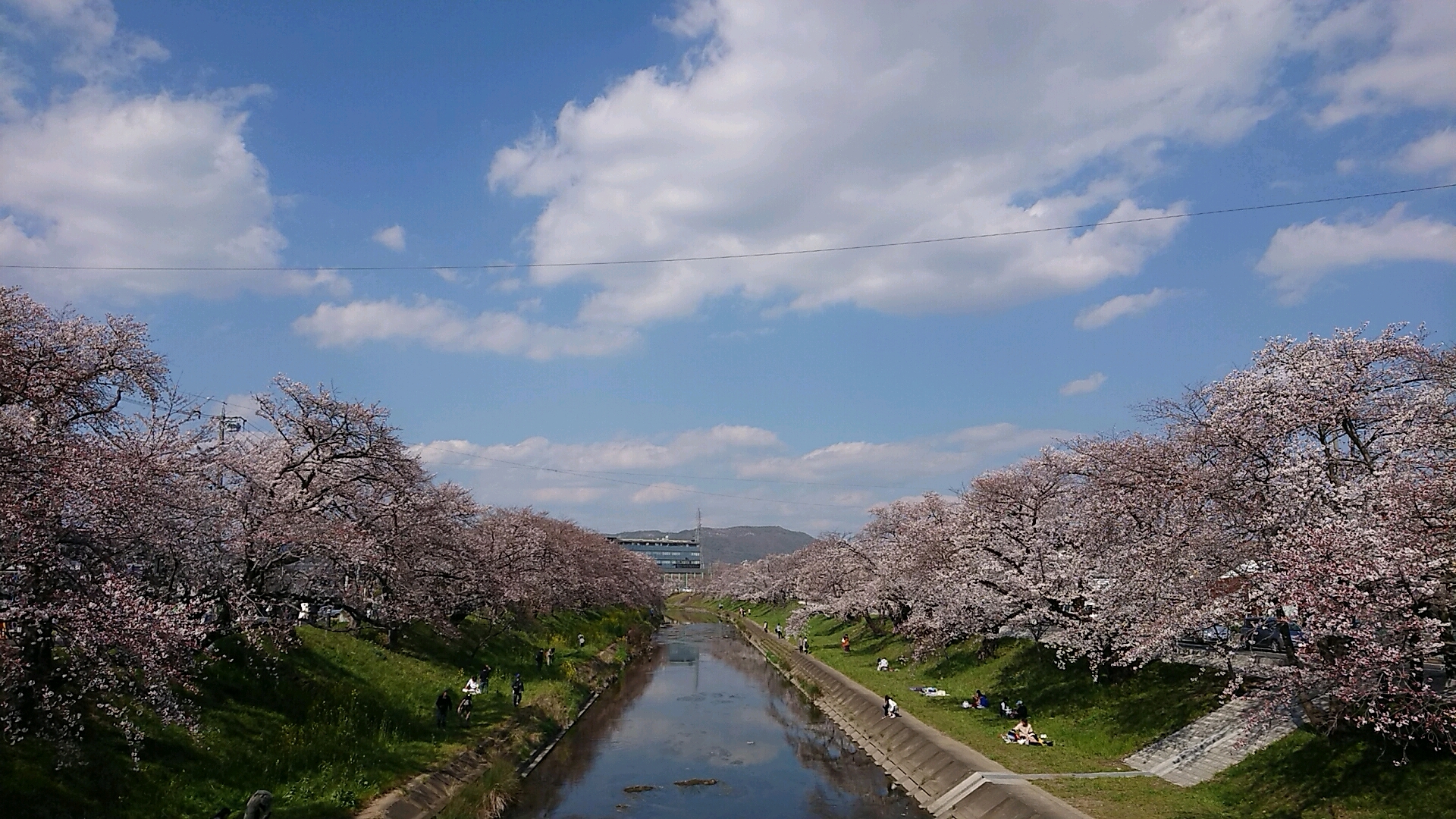 新境川のレポート写真2（ヨゼ）