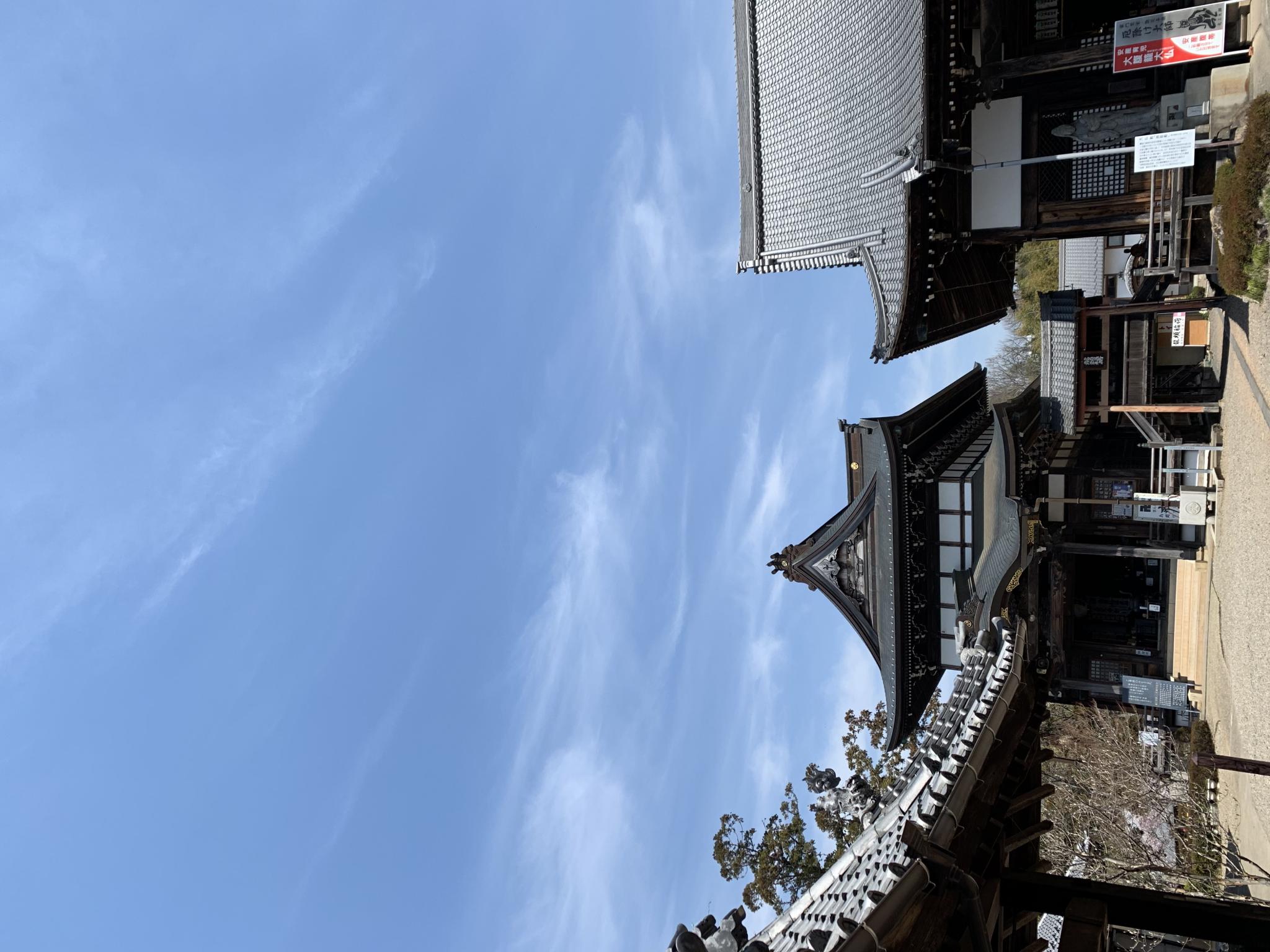 宗休寺(関善光寺) のレポート写真3（ポニョ）
