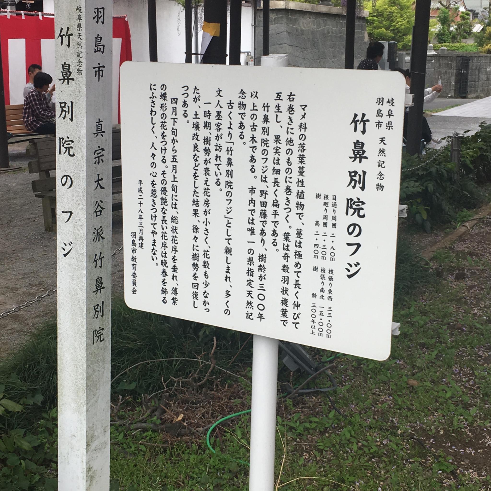 竹鼻別院のレポート写真3（岐阜の食いしん坊担当）