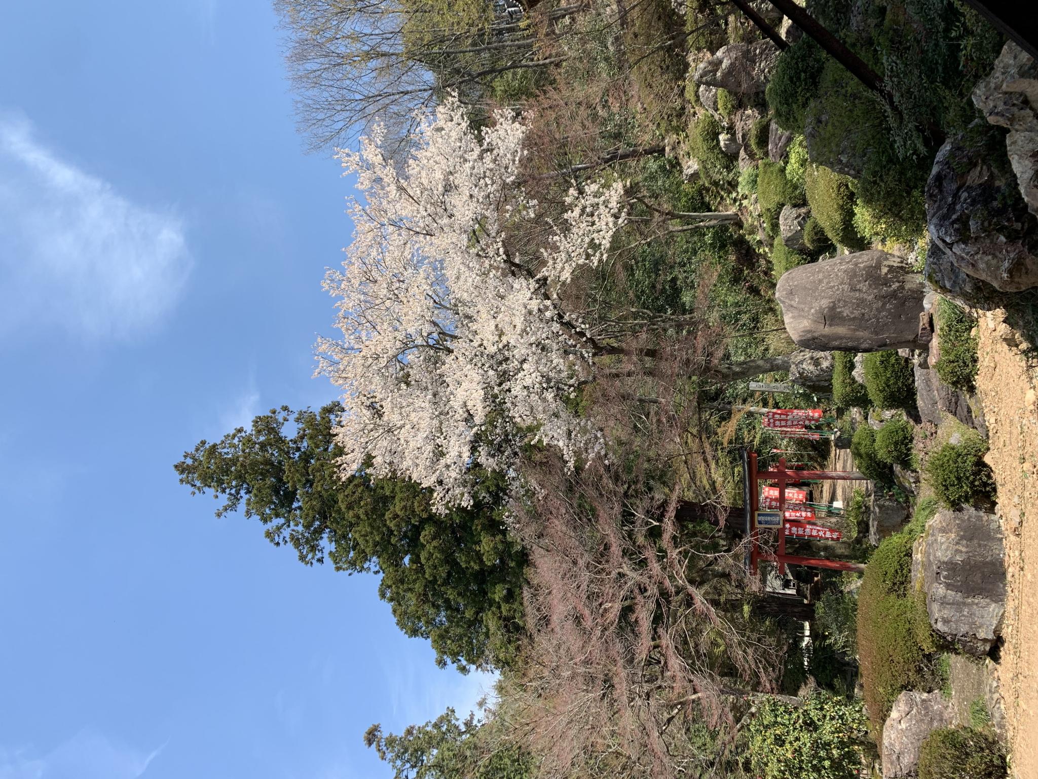 宗休寺(関善光寺) のレポート写真4（ポニョ）