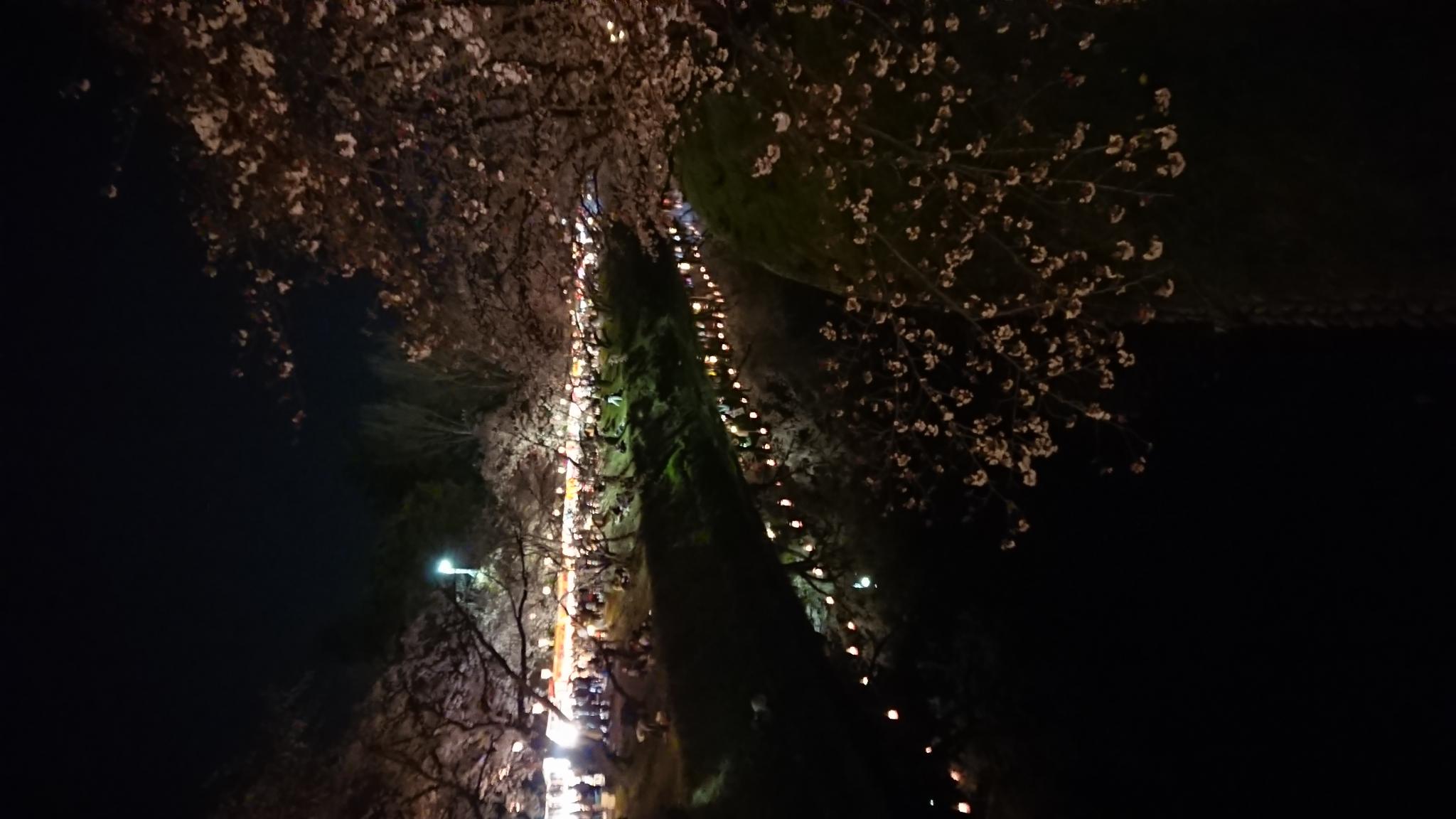 新境川のレポート写真4（ヨゼ）