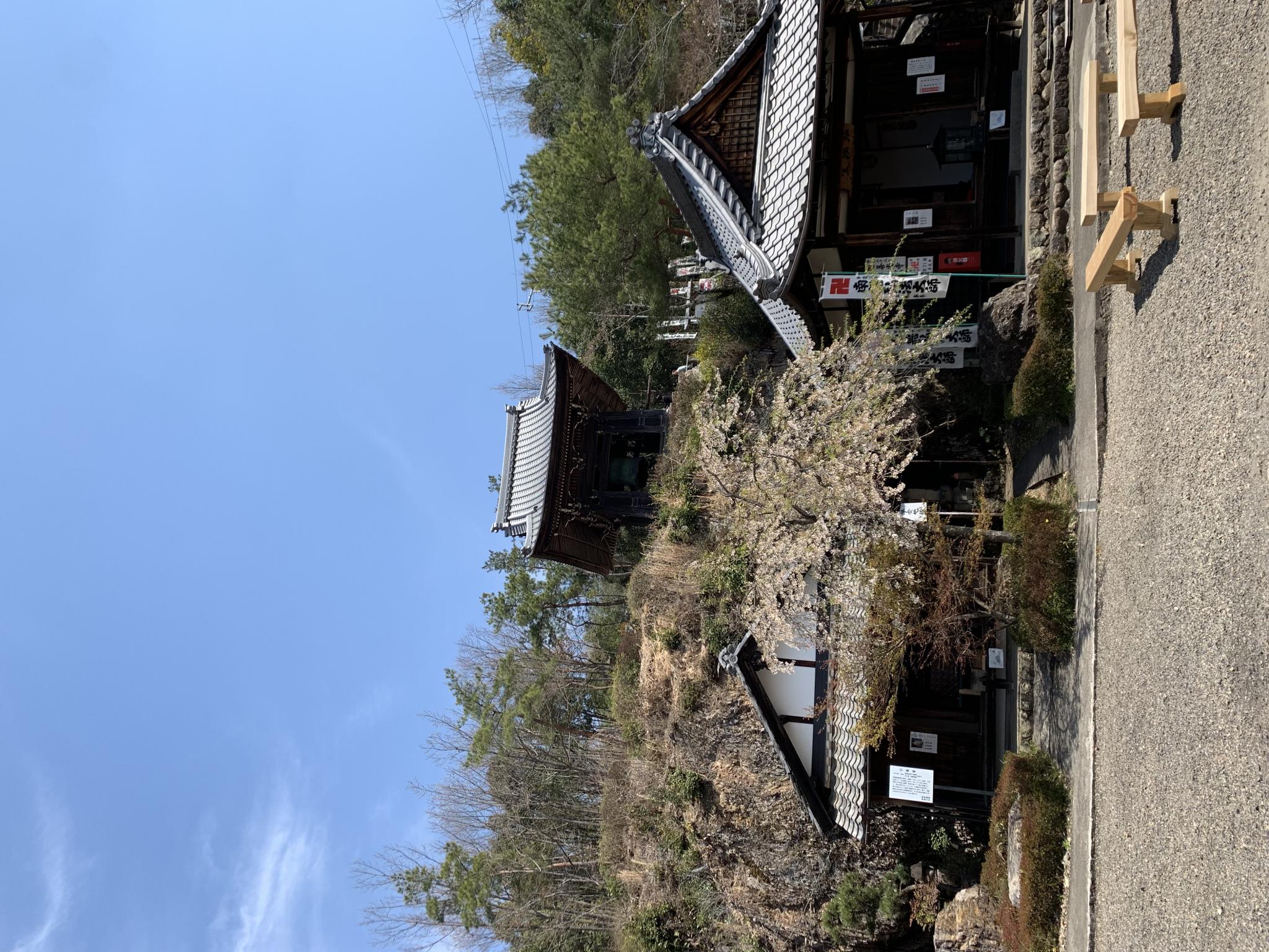 宗休寺(関善光寺) のレポート写真5（ポニョ）