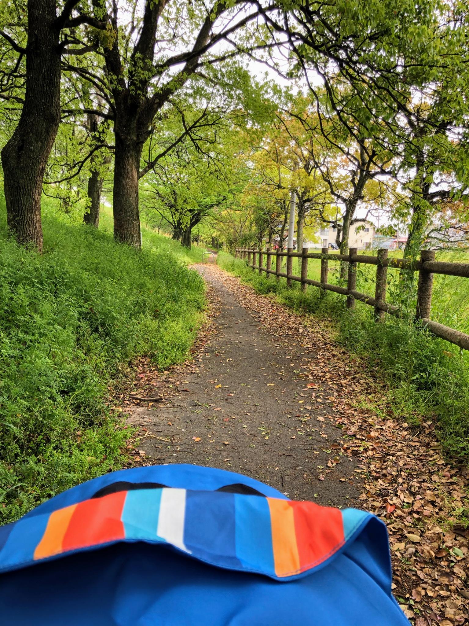 大島堤サイクリングロードのレポート写真1（にしこ）