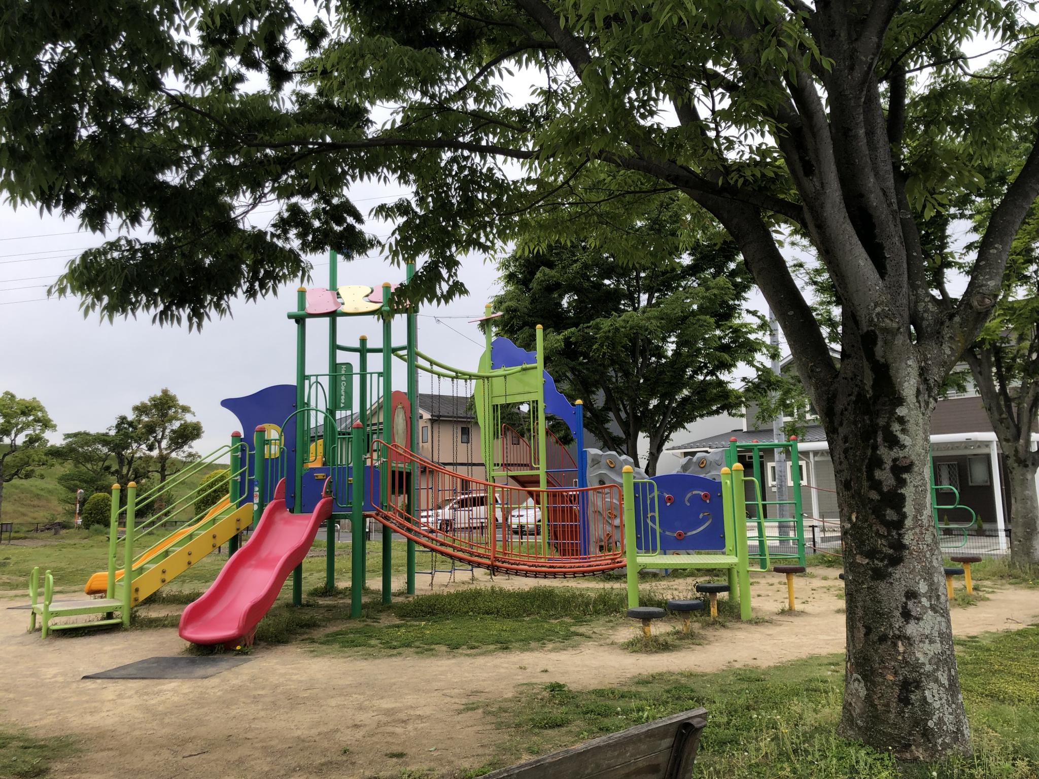 津布良公園のレポート写真1（にしこ）
