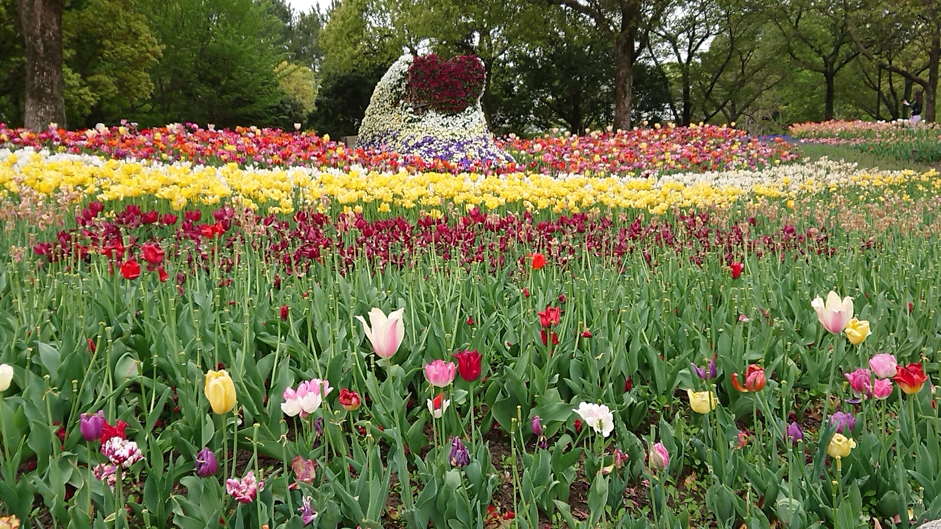 国営木曽三川公園センターのレポート写真3（ヨゼ）