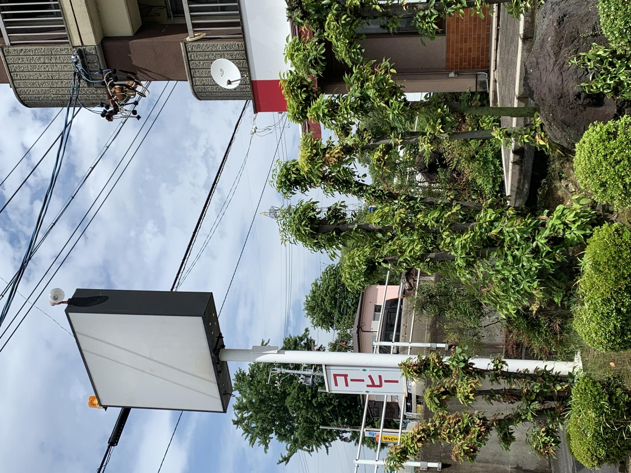 藤のレポート写真3（ポニョ）