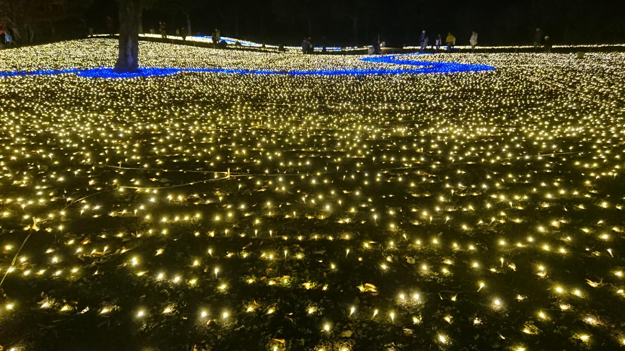 国営木曽三川公園センターのレポート写真4（ヨゼ）