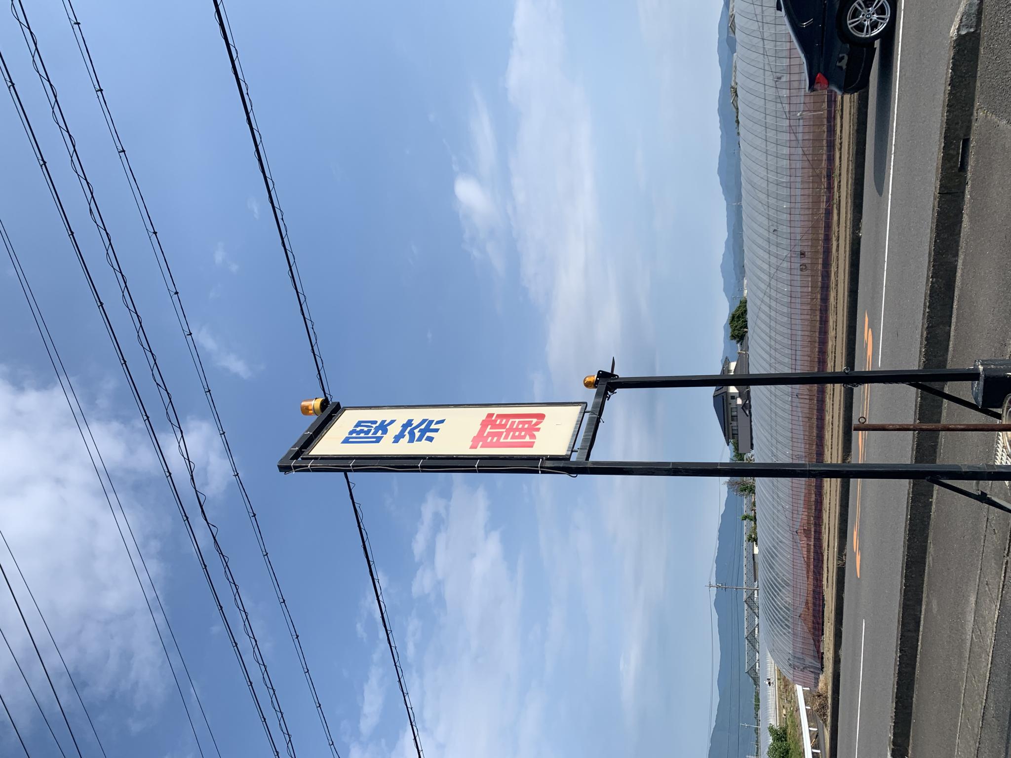 蘭のレポート写真4（ポニョ）