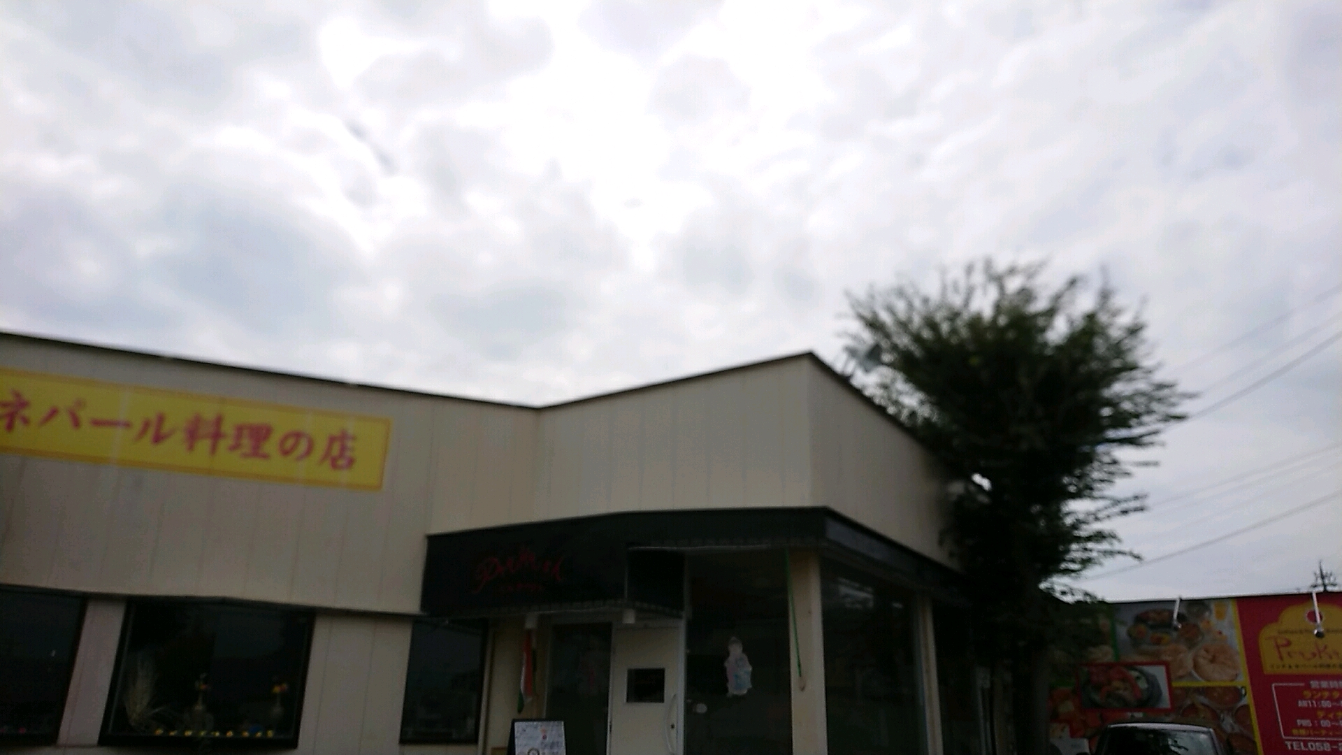 インド&ネパール料理の店 パルカッシュのレポート写真4（ヨゼ）
