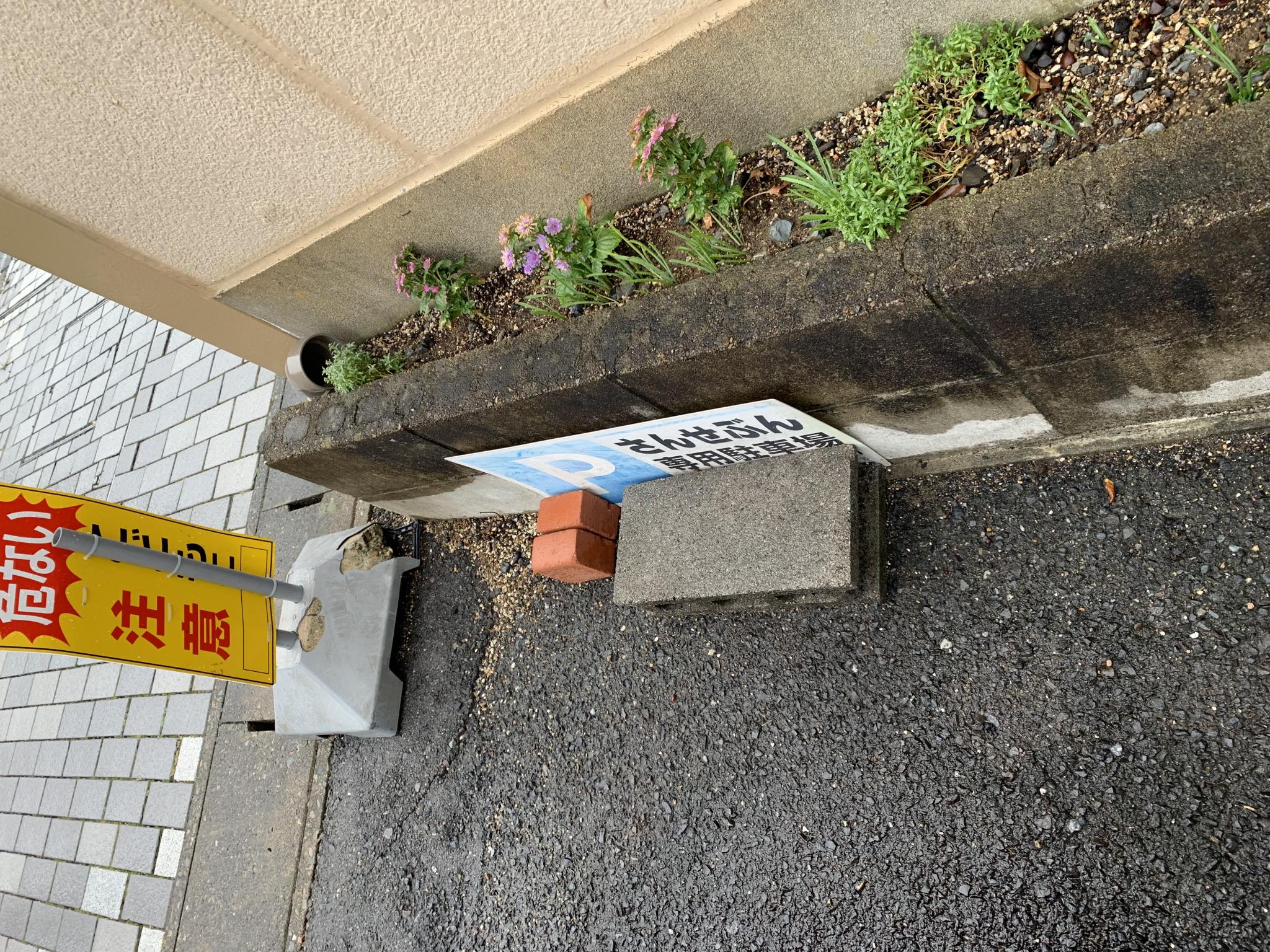 さんせぶんのレポート写真5（ポニョ）