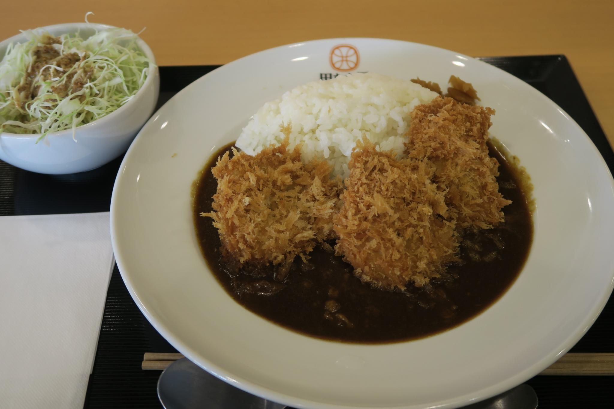 とんかつ田なか屋 モレラ店のレポート写真1（みずほのトヤマ）