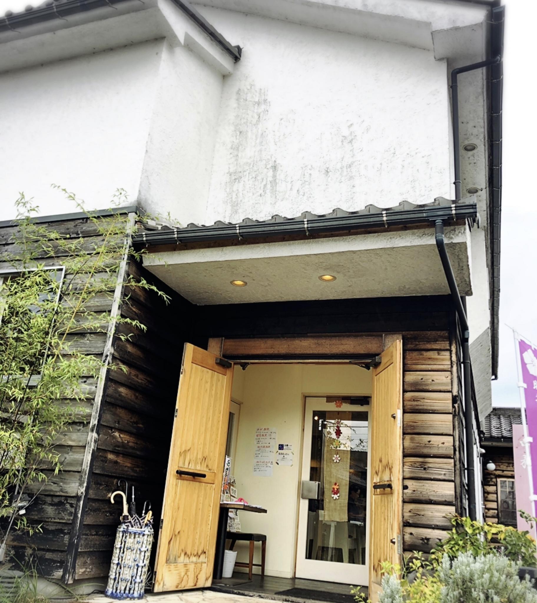 山務のレポート写真1（ジンベイザメ）