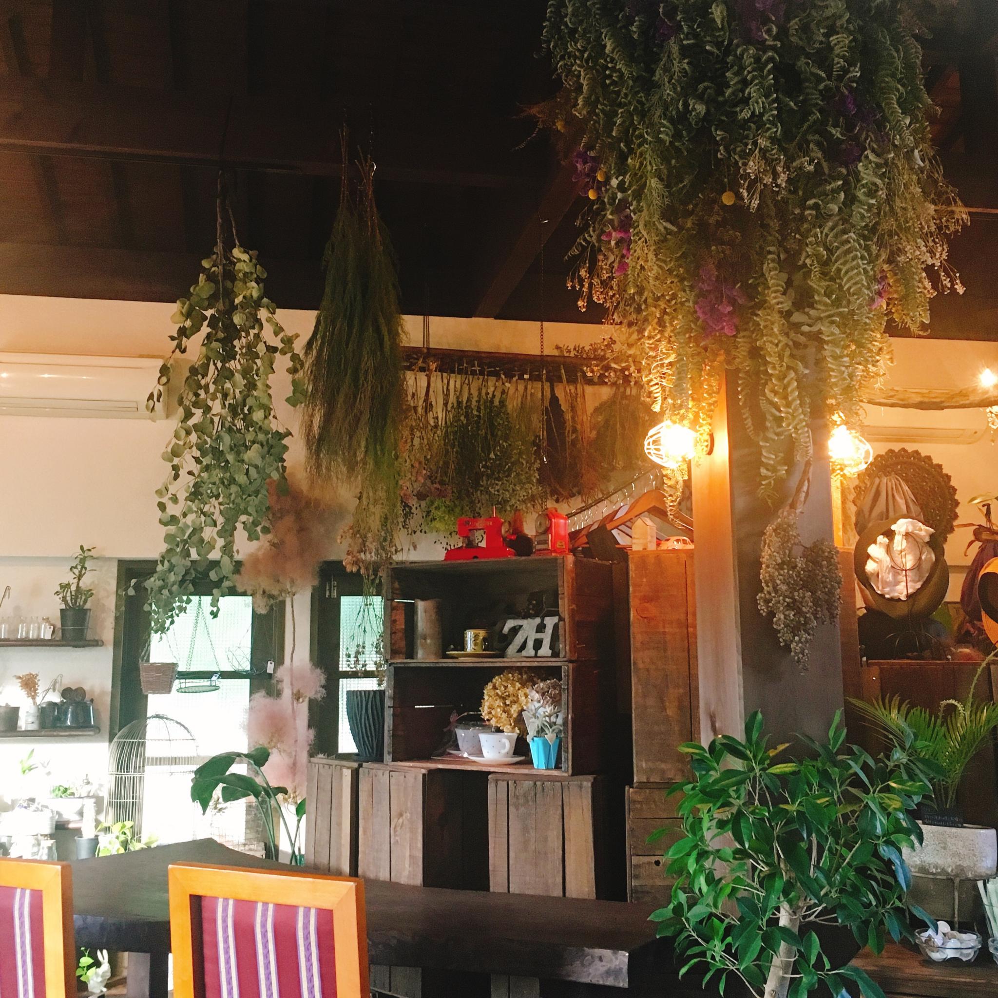 cafe&zakka ホドナラフのレポート写真4（岐阜の食いしん坊担当）