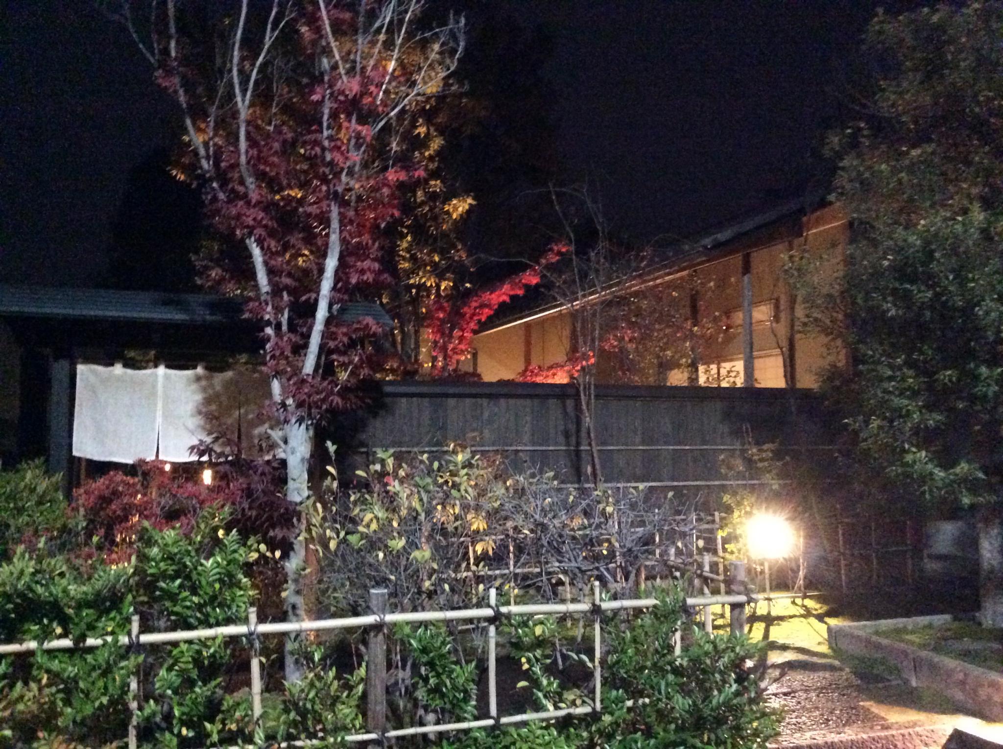 日本料理 稲穂のレポート写真1（レッツなシニア）