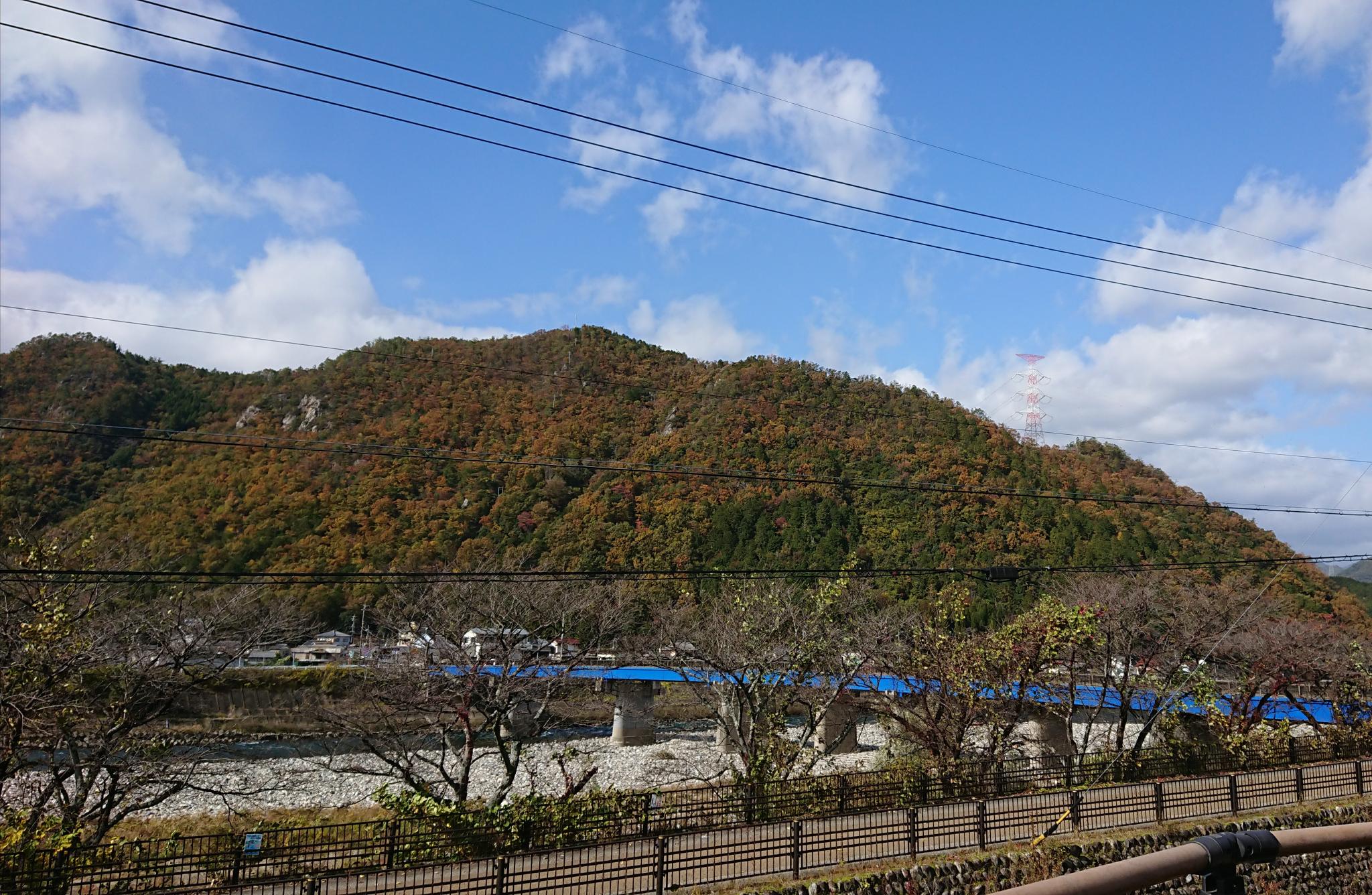 道の駅 美濃にわか茶屋のレポート写真2（ヨゼ）