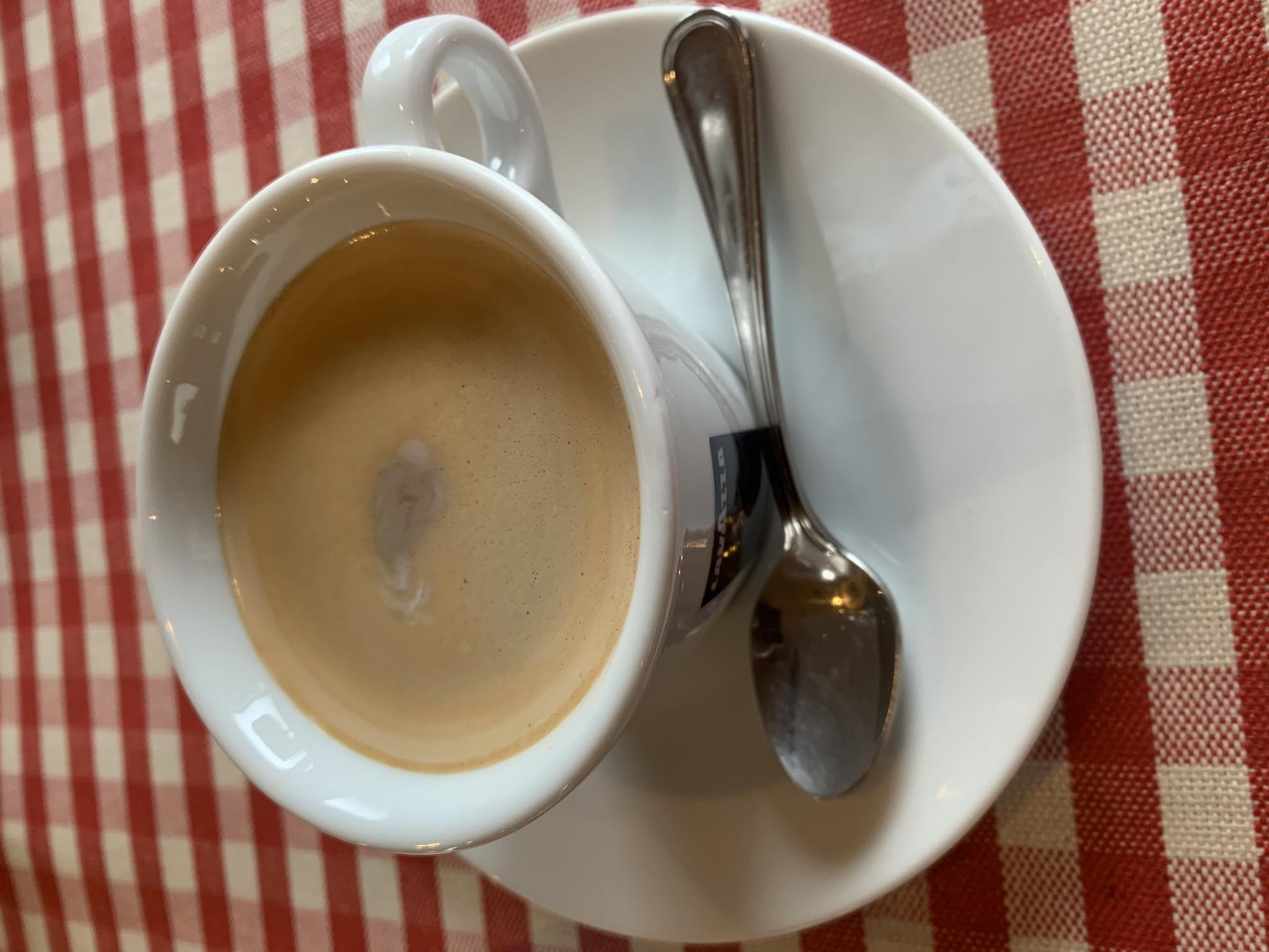 Cucina Italiana La Moraのレポート写真3（ポニョ）