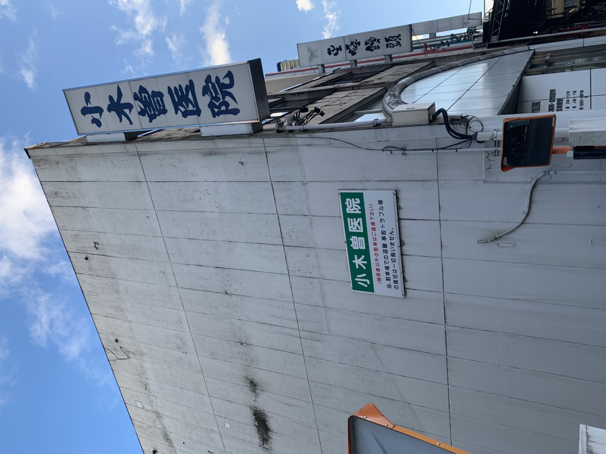 小木曽医院のレポート写真2（ポニョ）