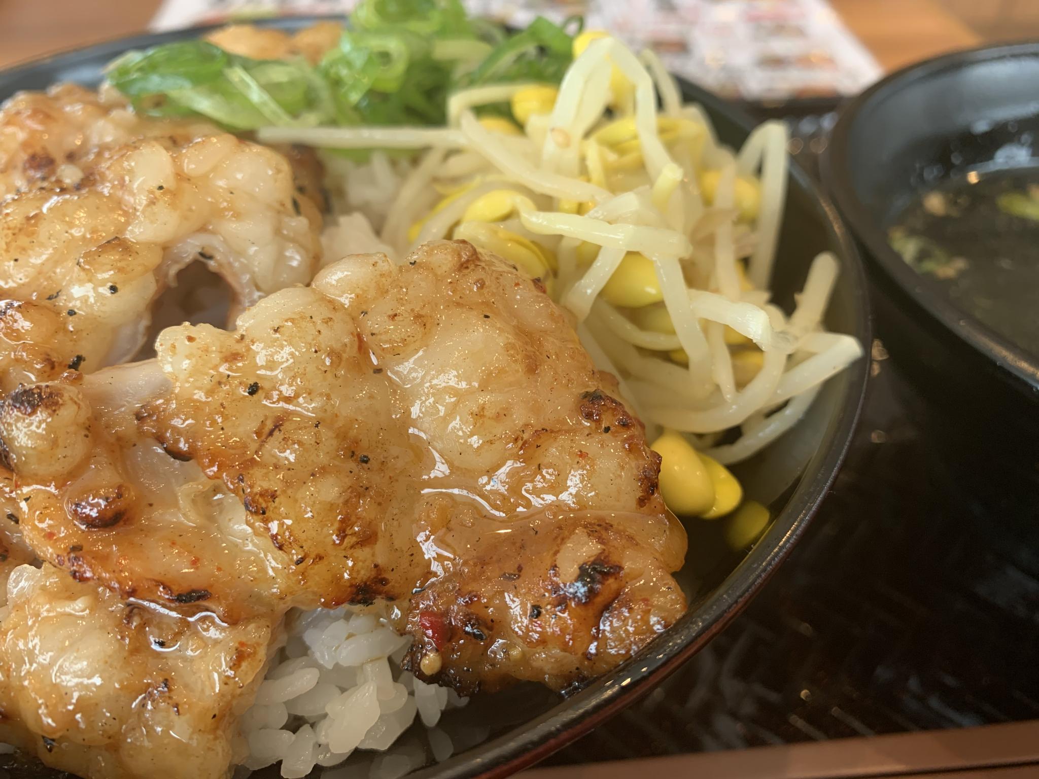 韓丼 美濃加茂店のレポート写真1（ポニョ）
