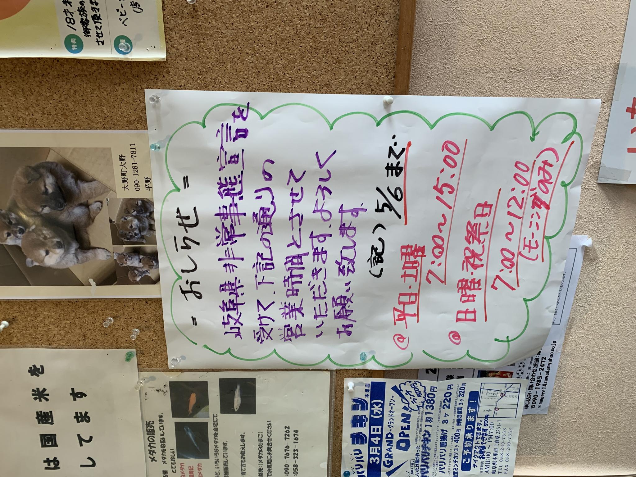 BINGOのレポート写真3（ポニョ）