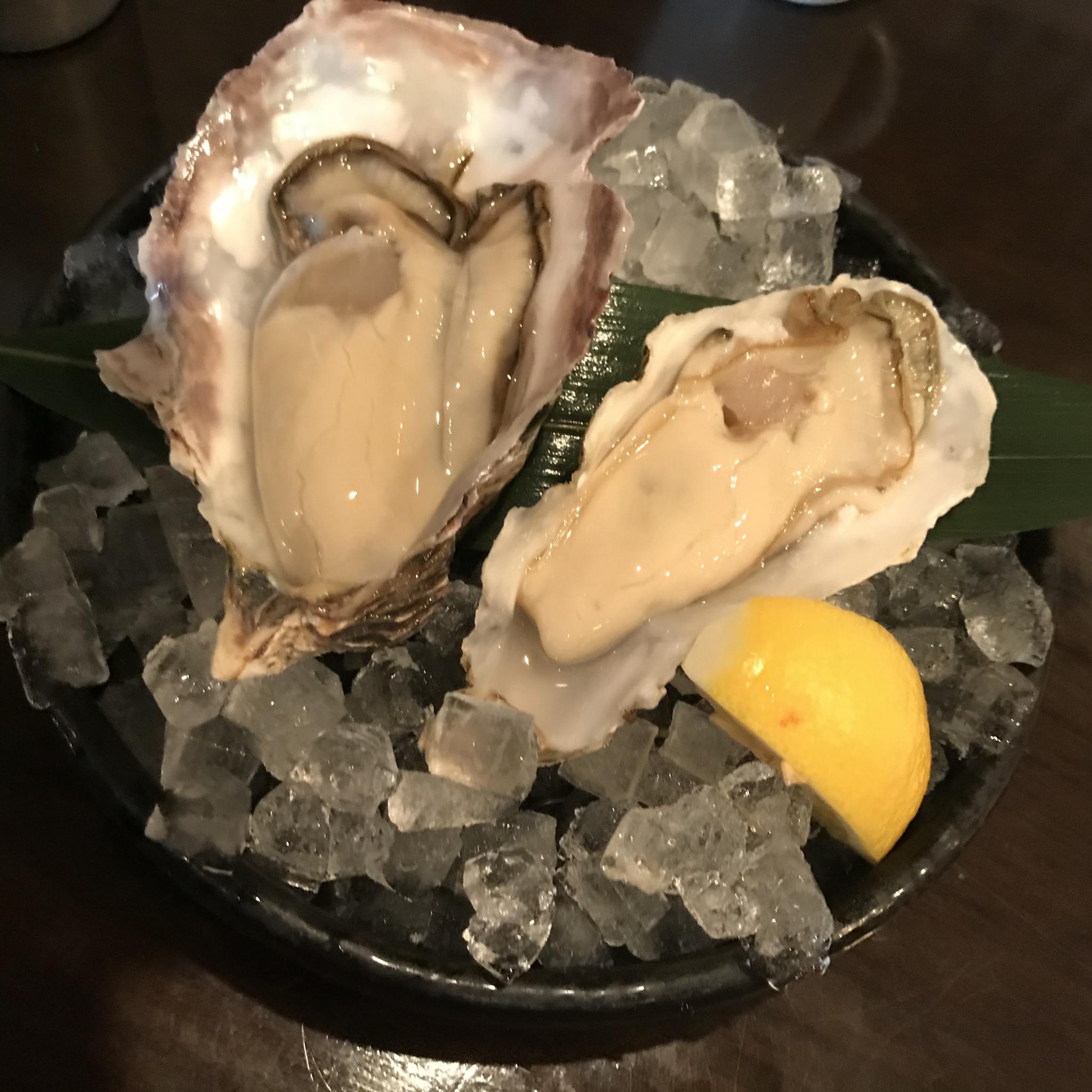 江戸YAのレポート写真1（岐阜の食いしん坊担当）