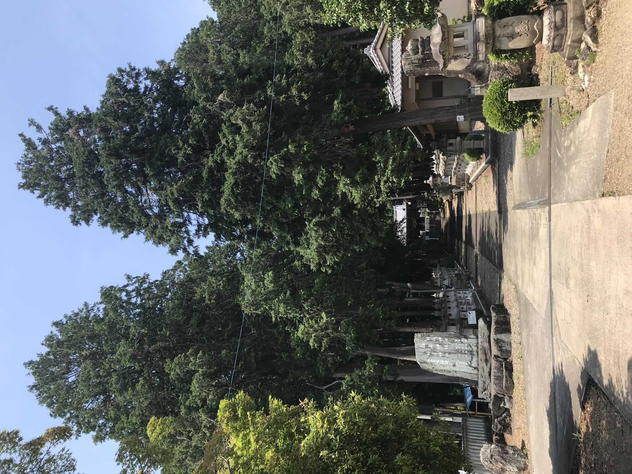 白山神社のレポート写真1（まなみ）