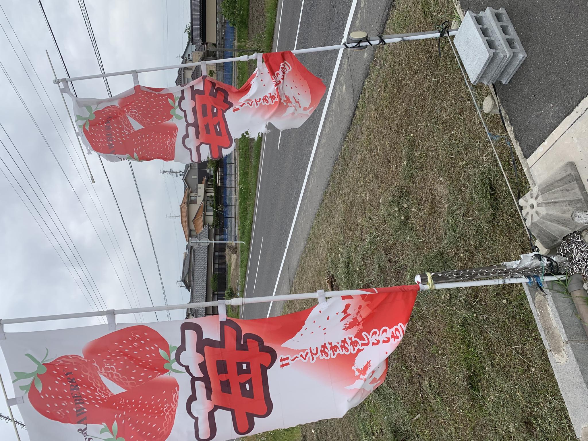 奥田観光農園のレポート写真5（ポニョ）