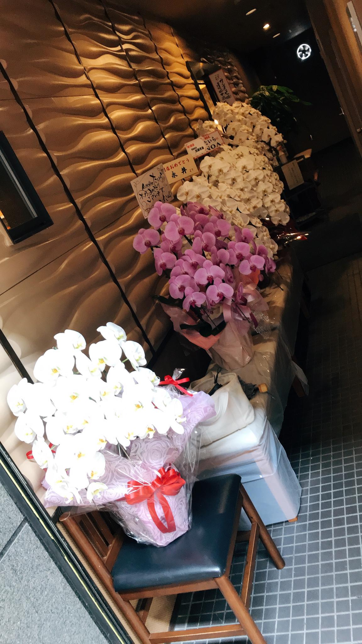 Kitchen たいらのレポート写真3（岐阜の食いしん坊担当）
