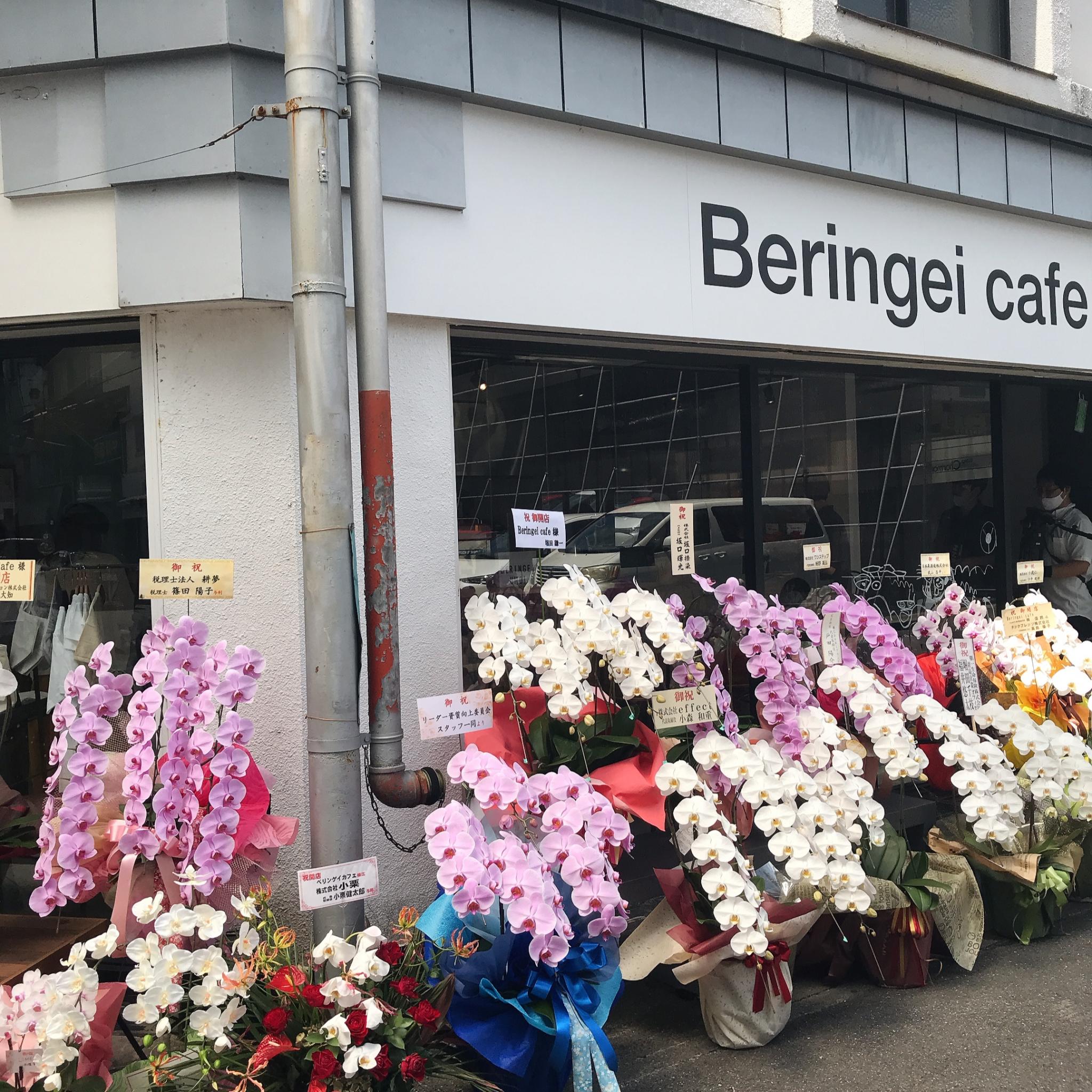 Beringei cafeのレポート写真1（岐阜の食いしん坊担当）