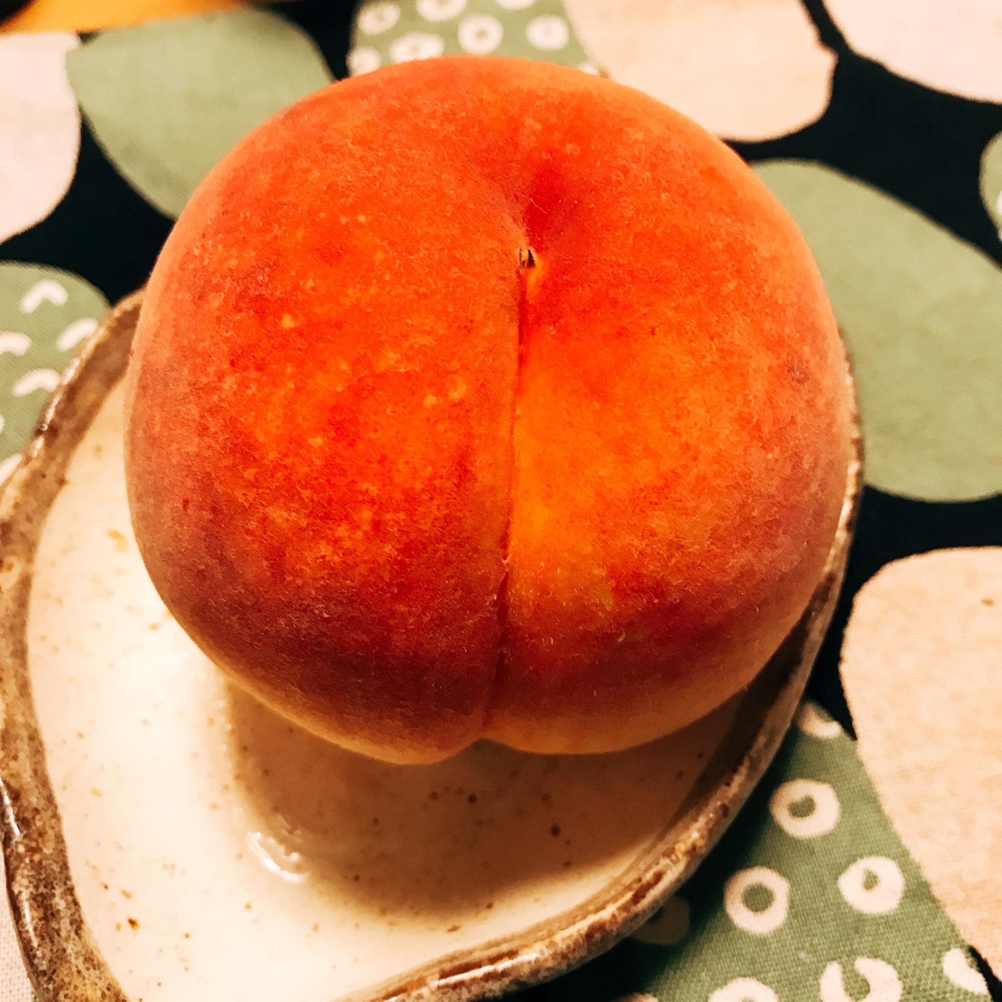 もだに農園のレポート写真1（岐阜の食いしん坊担当）