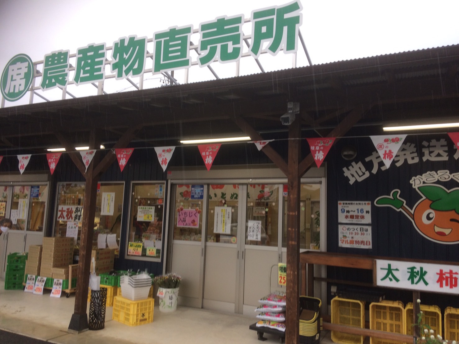 大熊青果 丸席農産物直売所のレポート写真1（えころん）