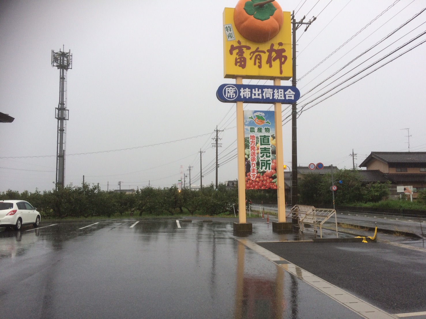 大熊青果 丸席農産物直売所のレポート写真2（えころん）