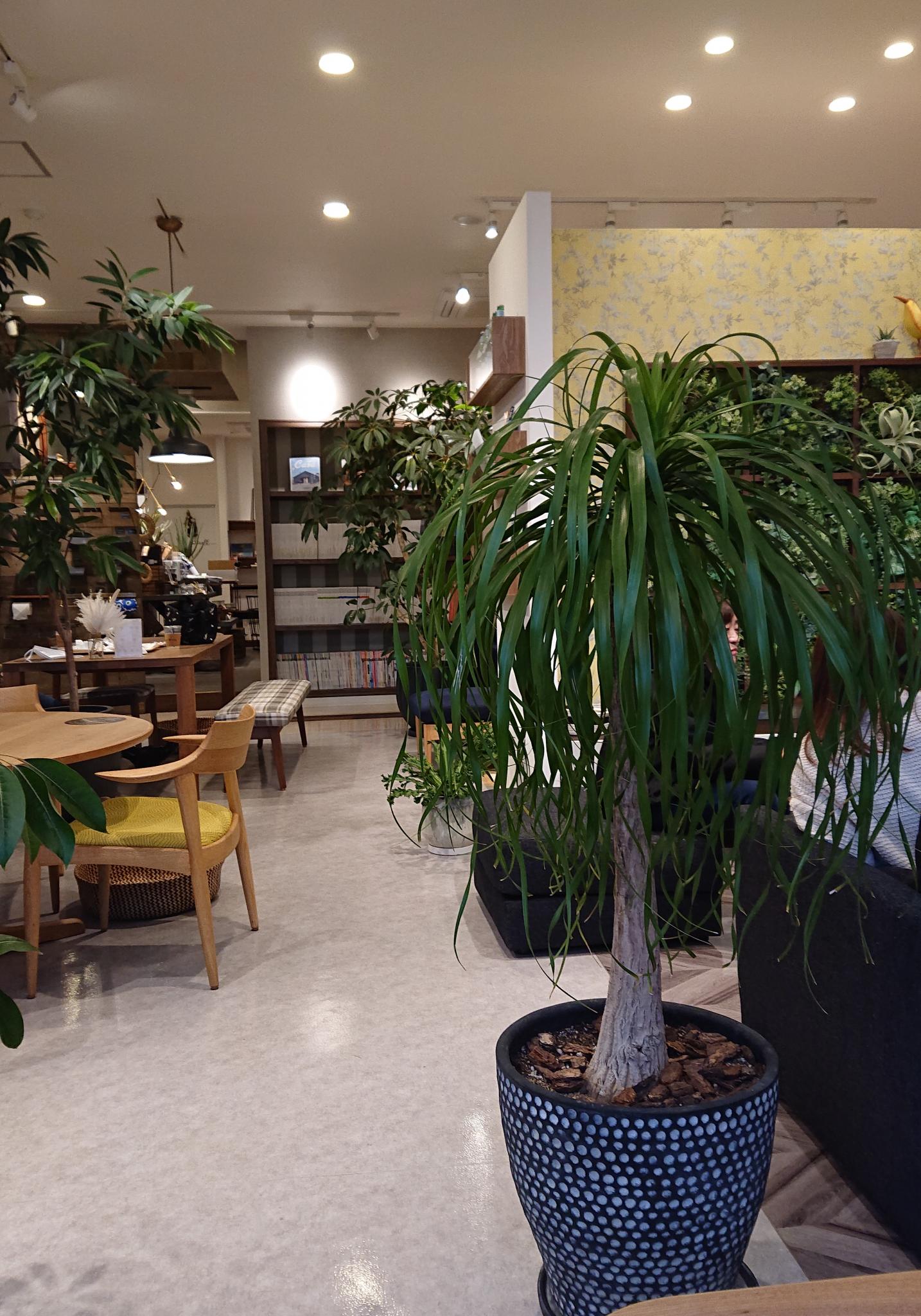 atori cafeのレポート写真2（まーちゃん）