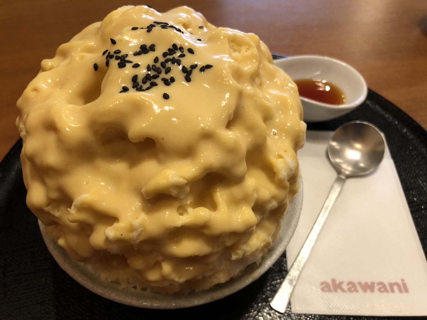 赤鰐のレポート写真4（えころん）