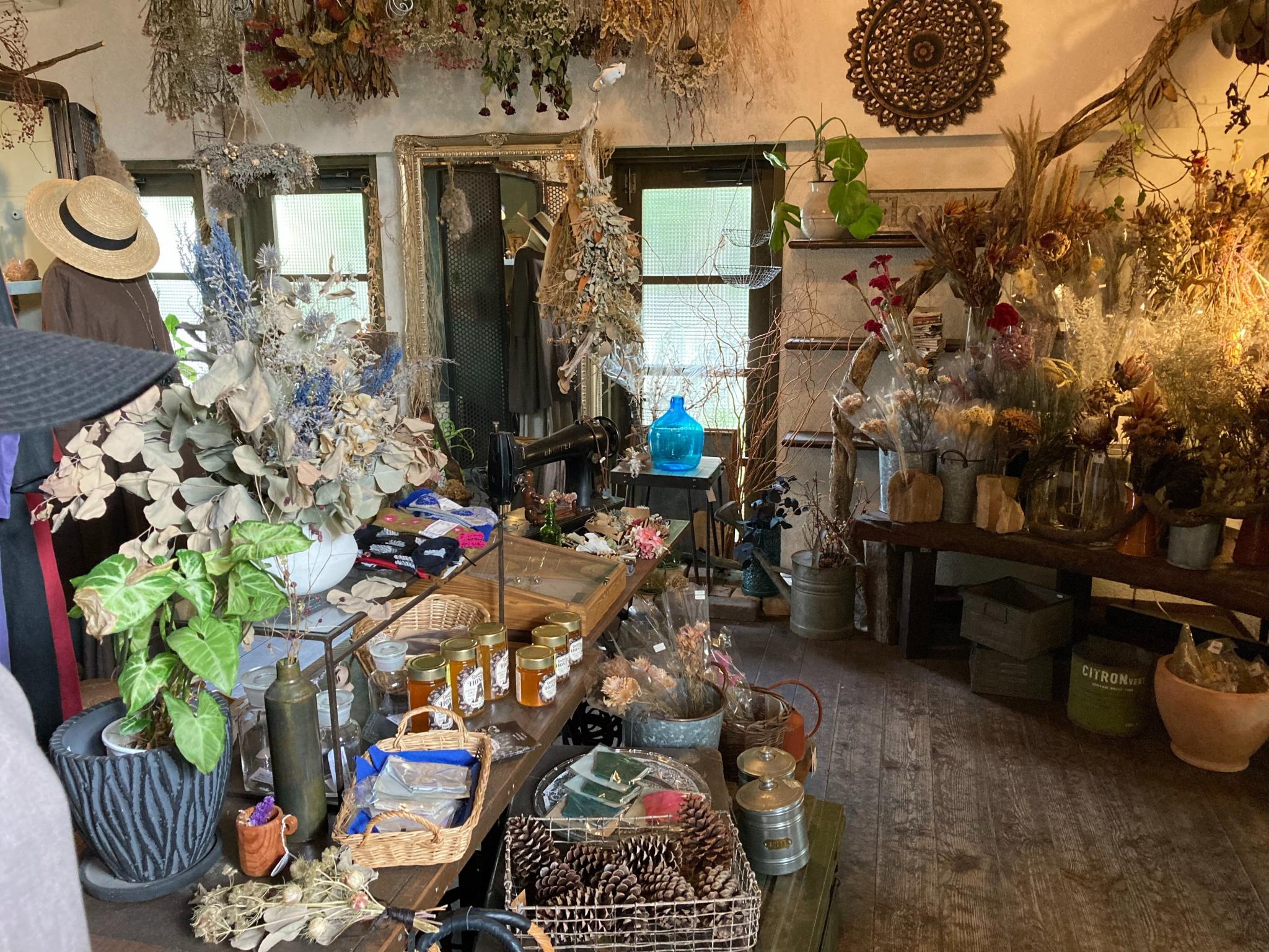 cafe&zakka ホドナラフのレポート写真4（えころん）