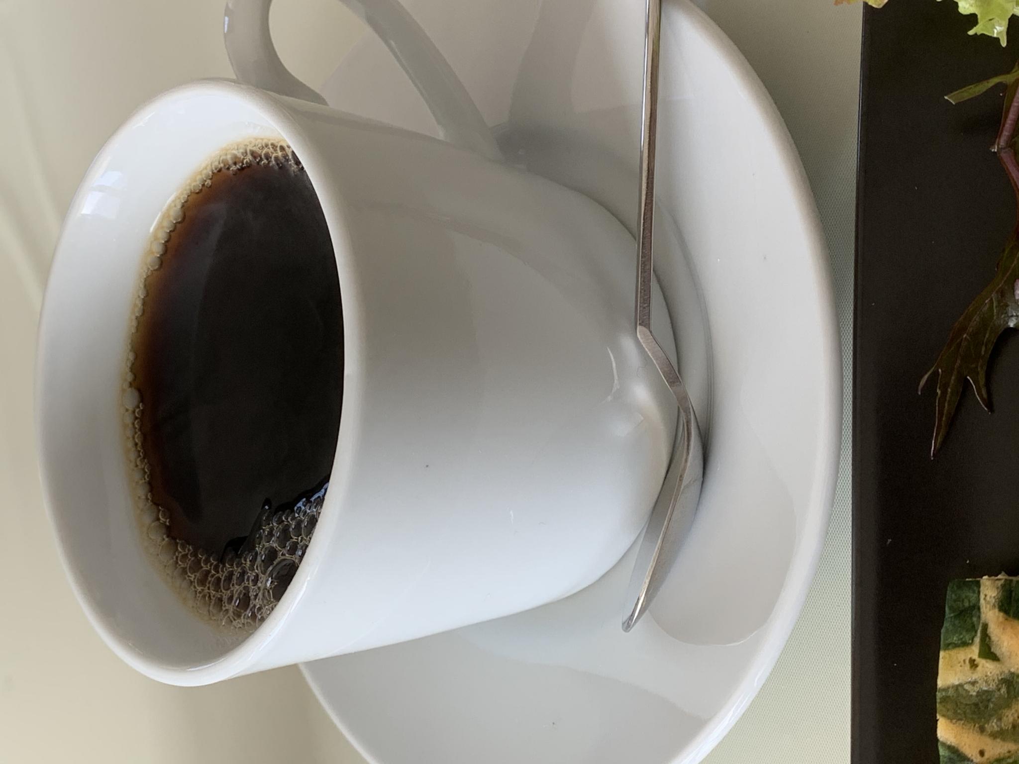 小さな隠れ家cafe ナチュライズのレポート写真2（ポニョ）