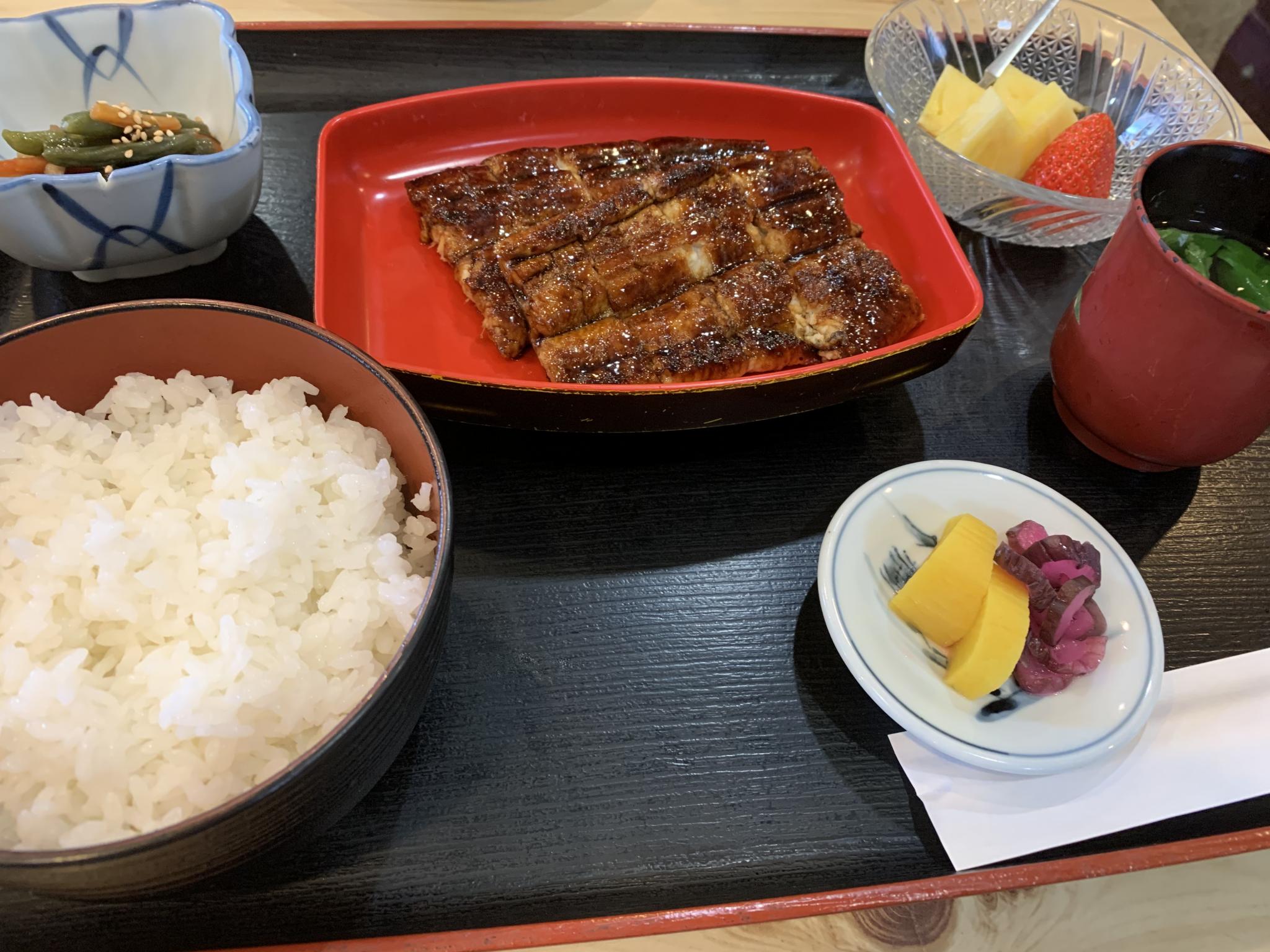 門池のレポート写真1（ポニョ）
