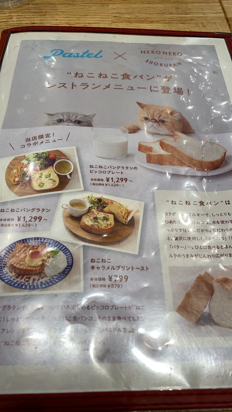パステル イオンモール各務原のレポート写真3（ちぃーたん）