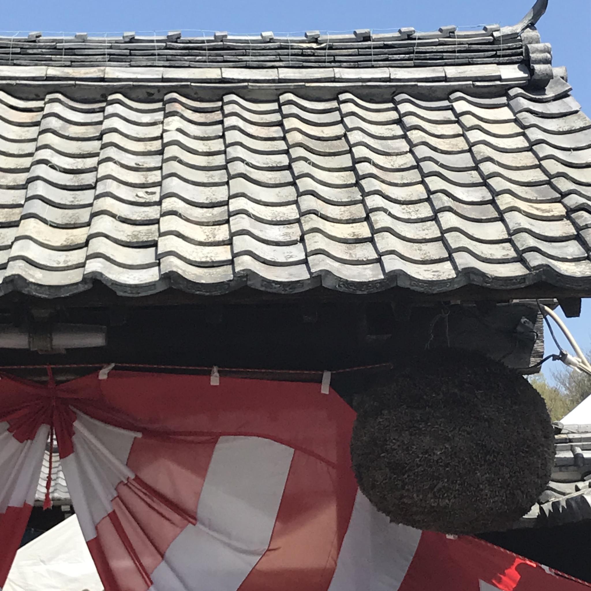 林酒造株式会社のレポート写真5（岐阜の食いしん坊担当）