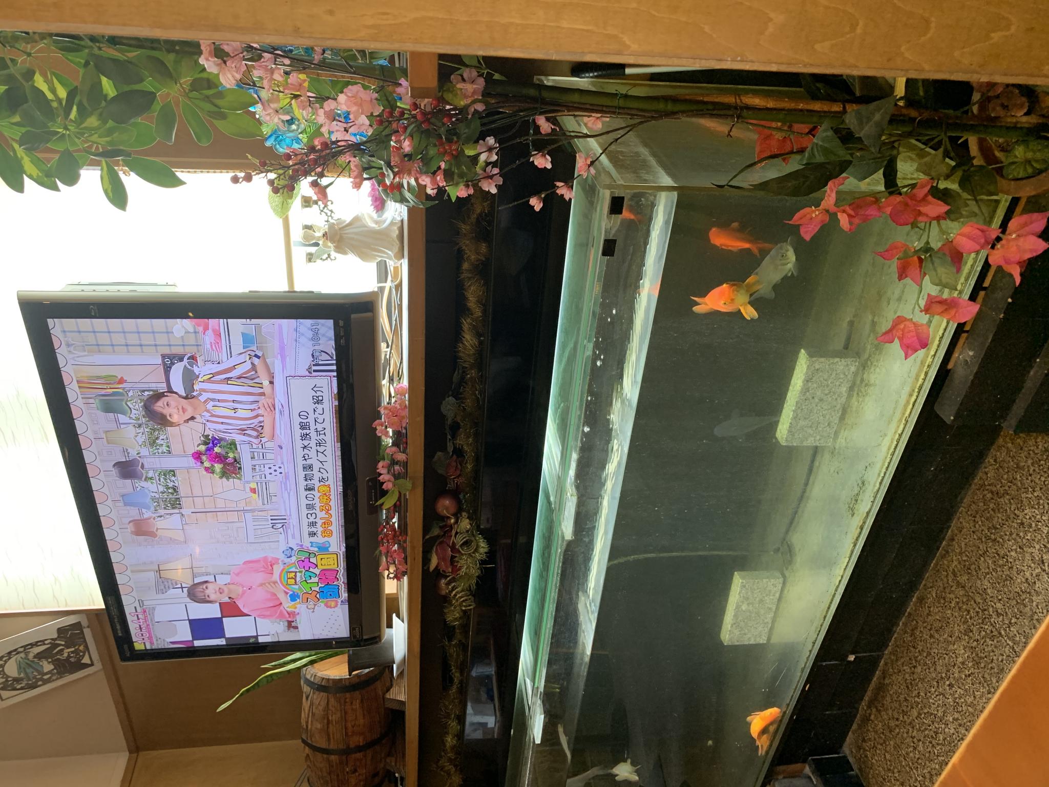 Cafe&Rest Lavareのレポート写真4（ポニョ）
