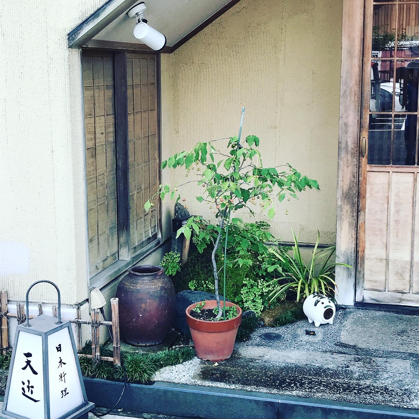 天近 駅前店のレポート写真5（岐阜の食いしん坊担当）