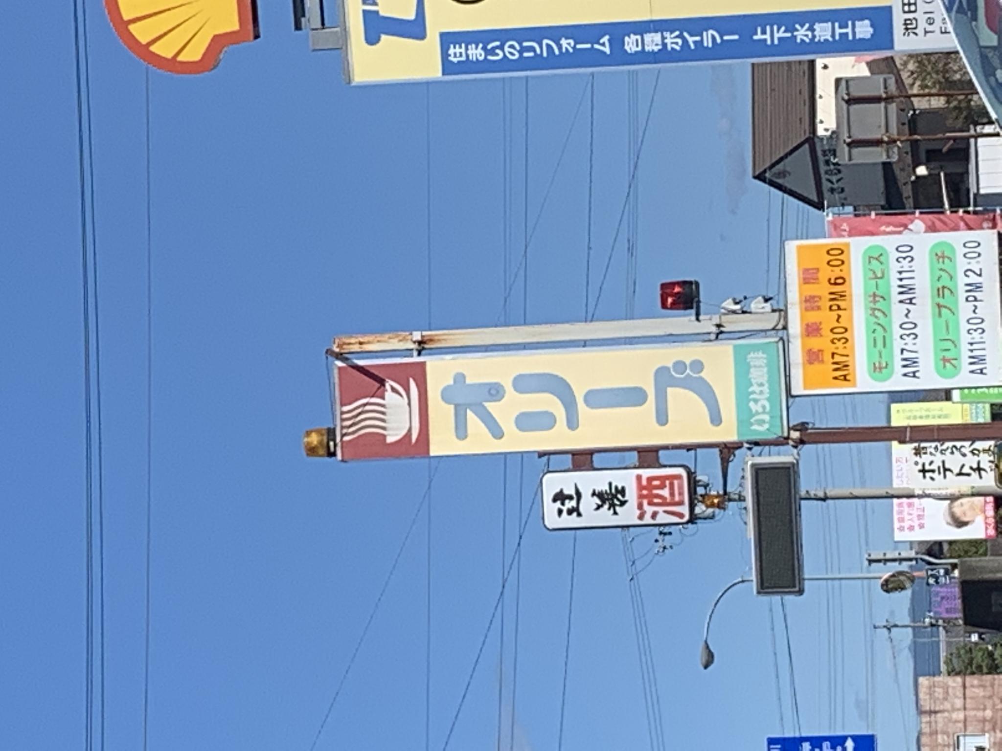 オリーブのレポート写真5（ポニョ）
