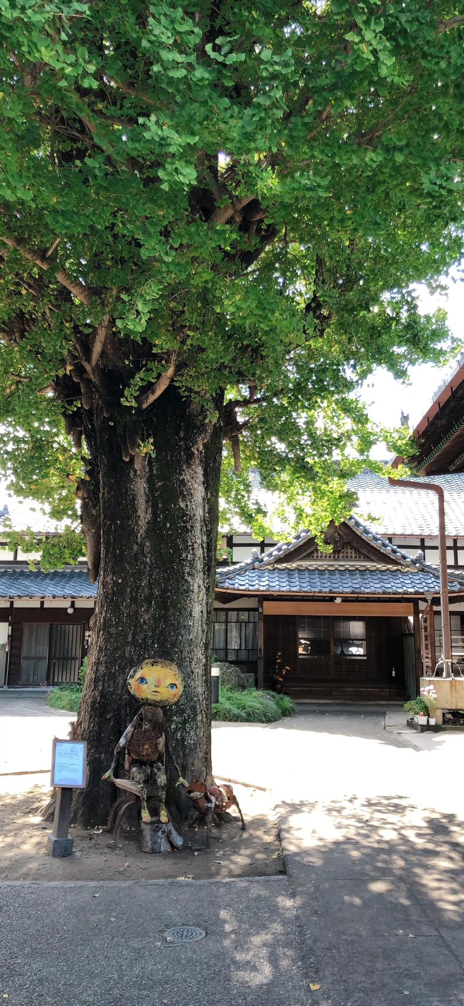 上宮寺のレポート写真1（にしこ）