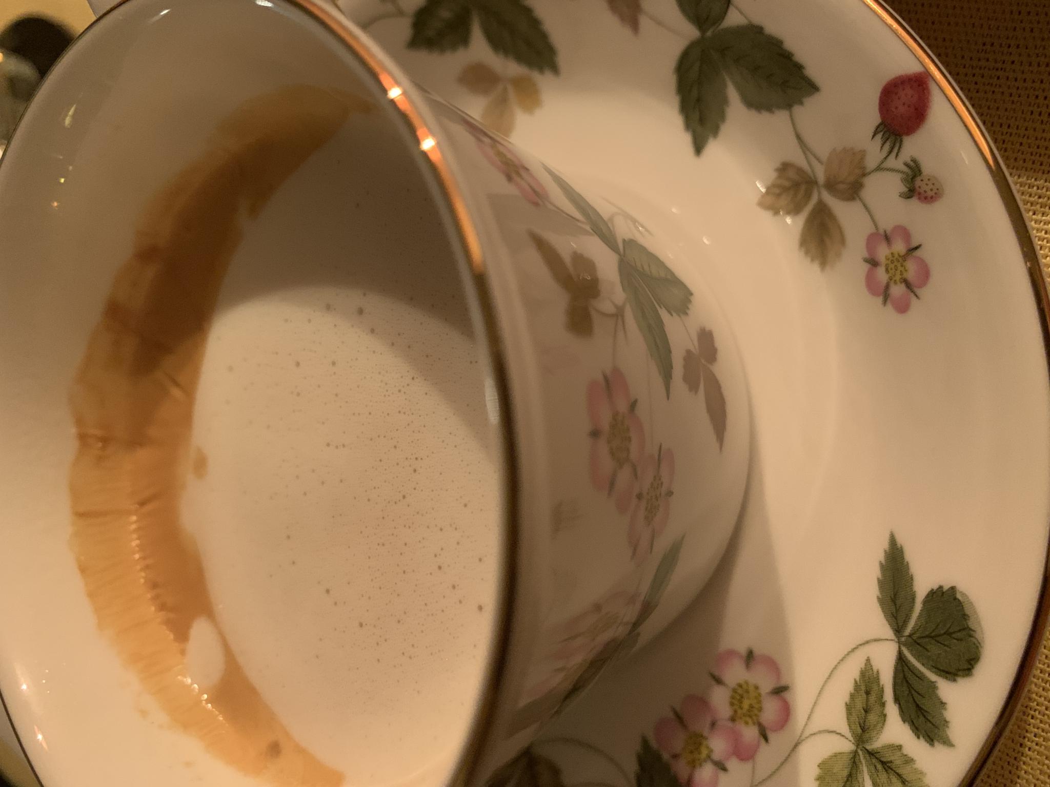 DUOMO cafeのレポート写真1（ポニョ）